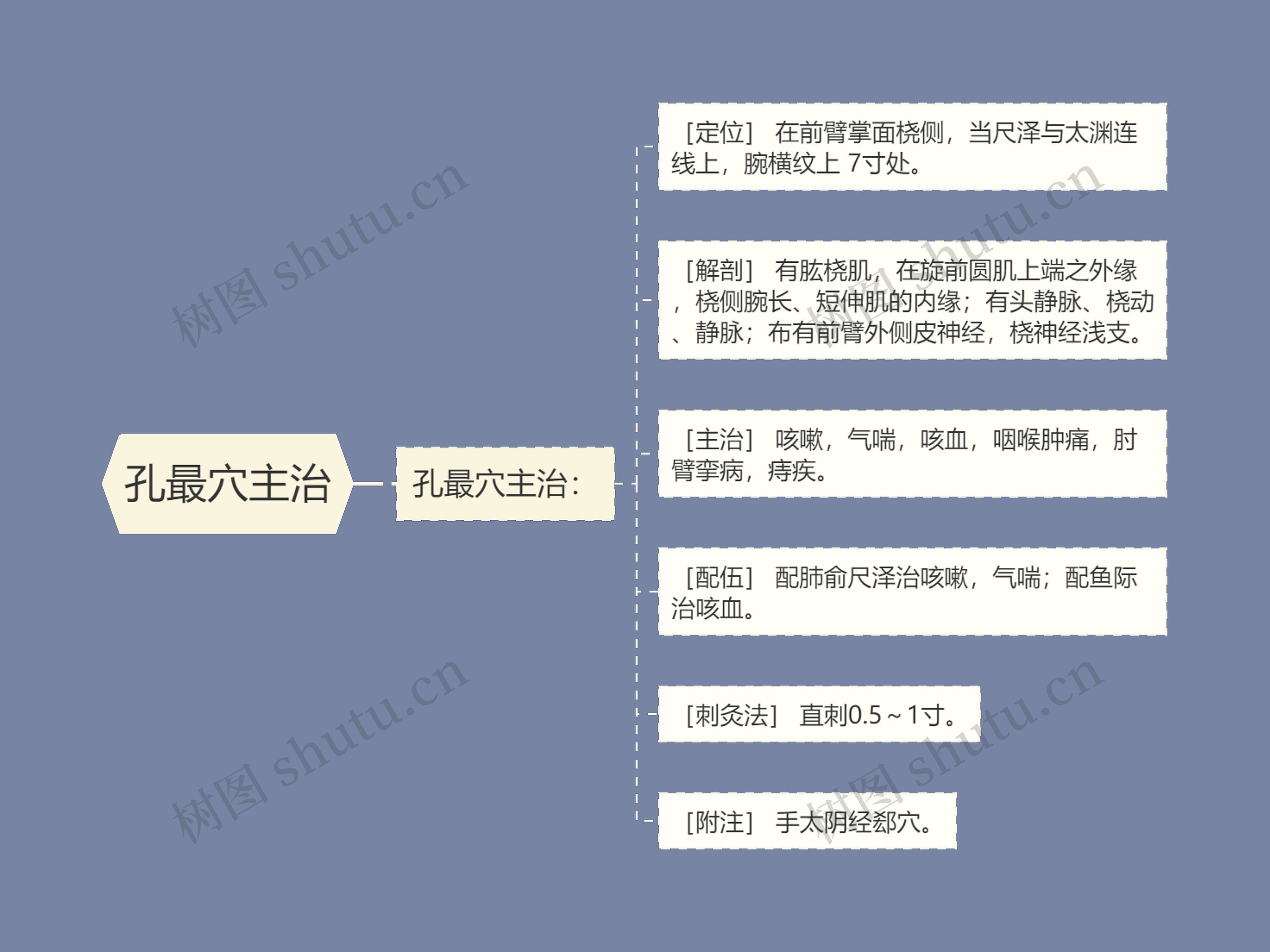 孔最穴主治思维导图