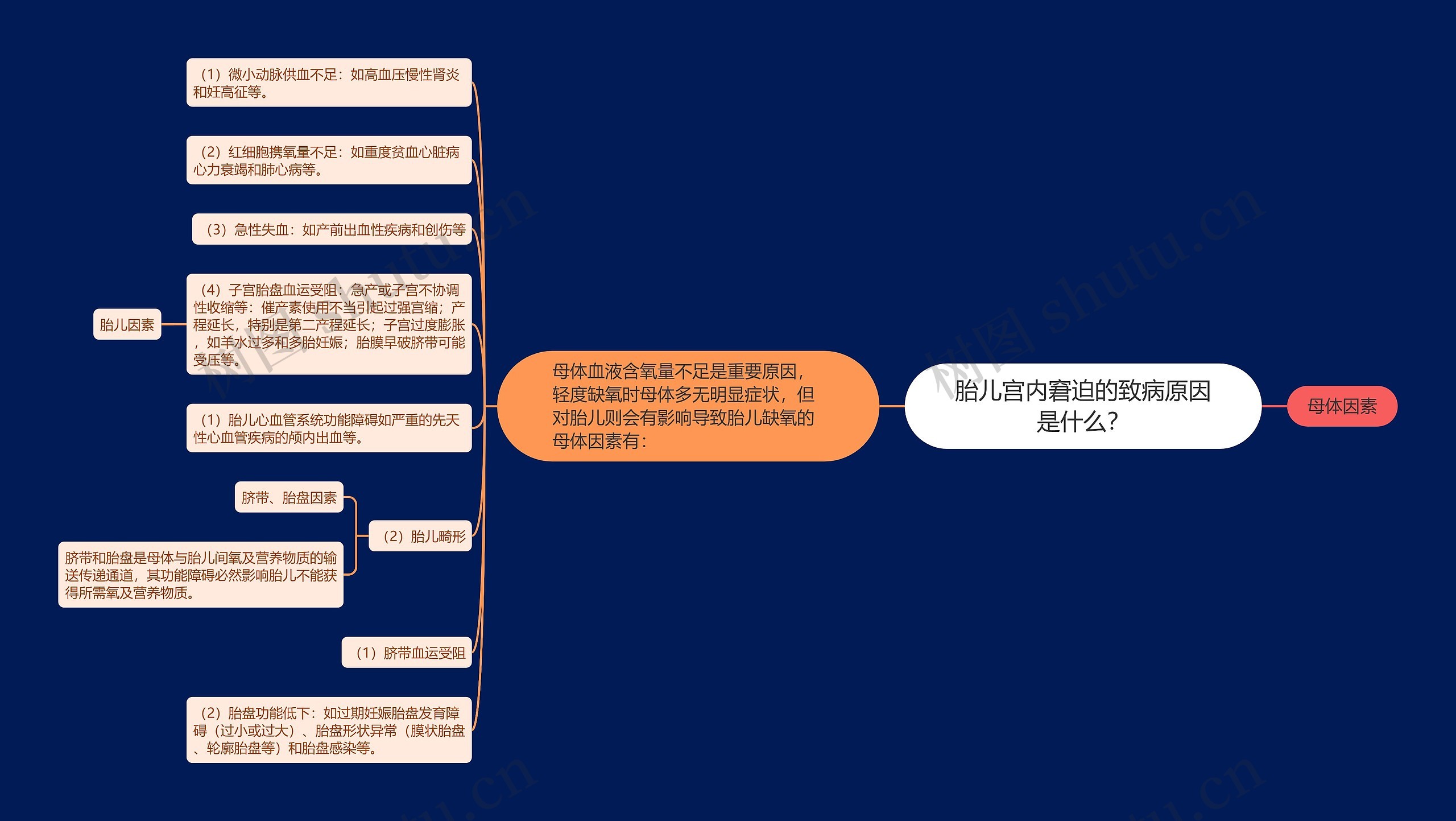 胎儿宫内窘迫的致病原因是什么？思维导图