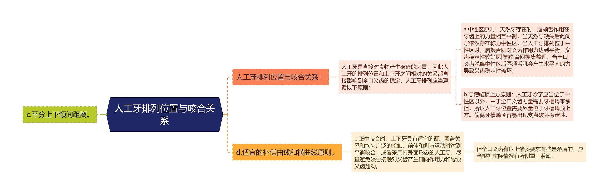 人工牙排列位置与咬合关系思维导图