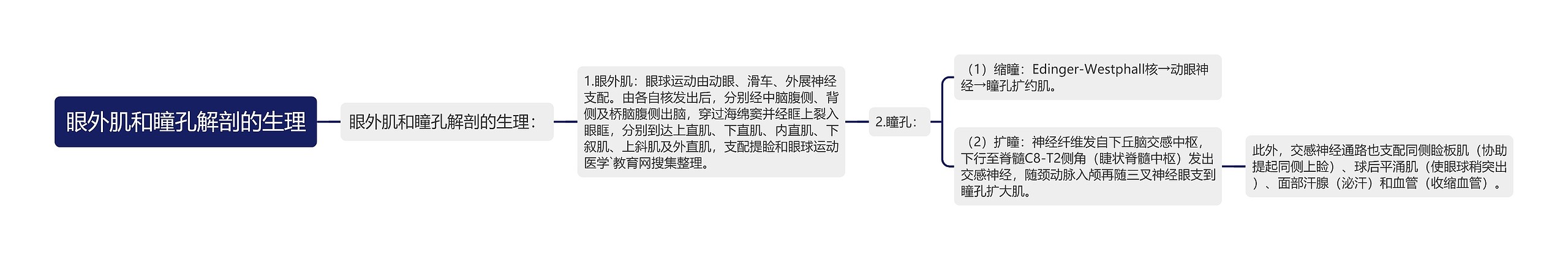 眼外肌和瞳孔解剖的生理思维导图
