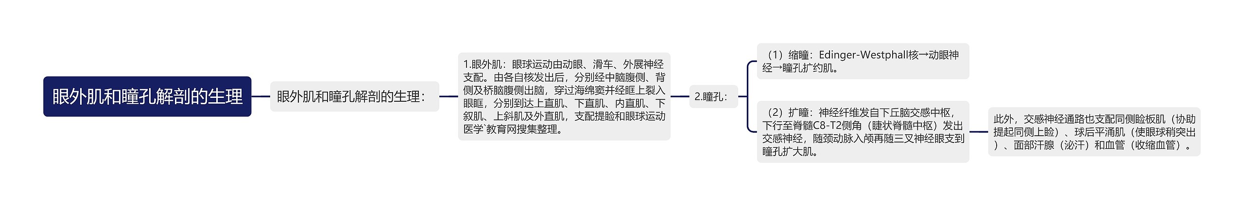 眼外肌和瞳孔解剖的生理 眼外肌和瞳孔解剖的生理
