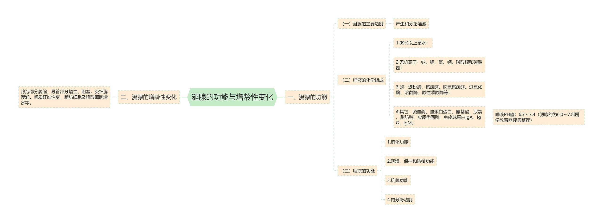 涎腺的功能与增龄性变化 涎腺的功能与增龄性变化