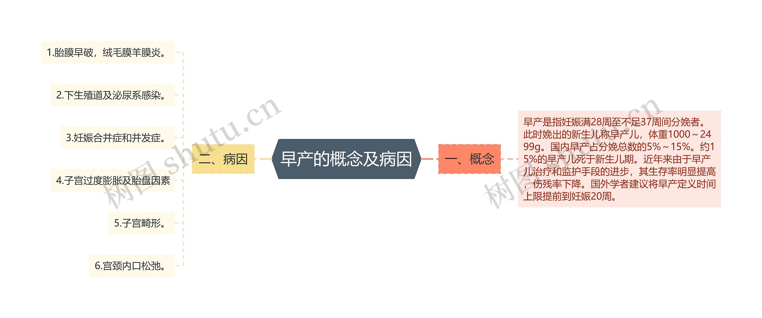 早产的概念及病因思维导图