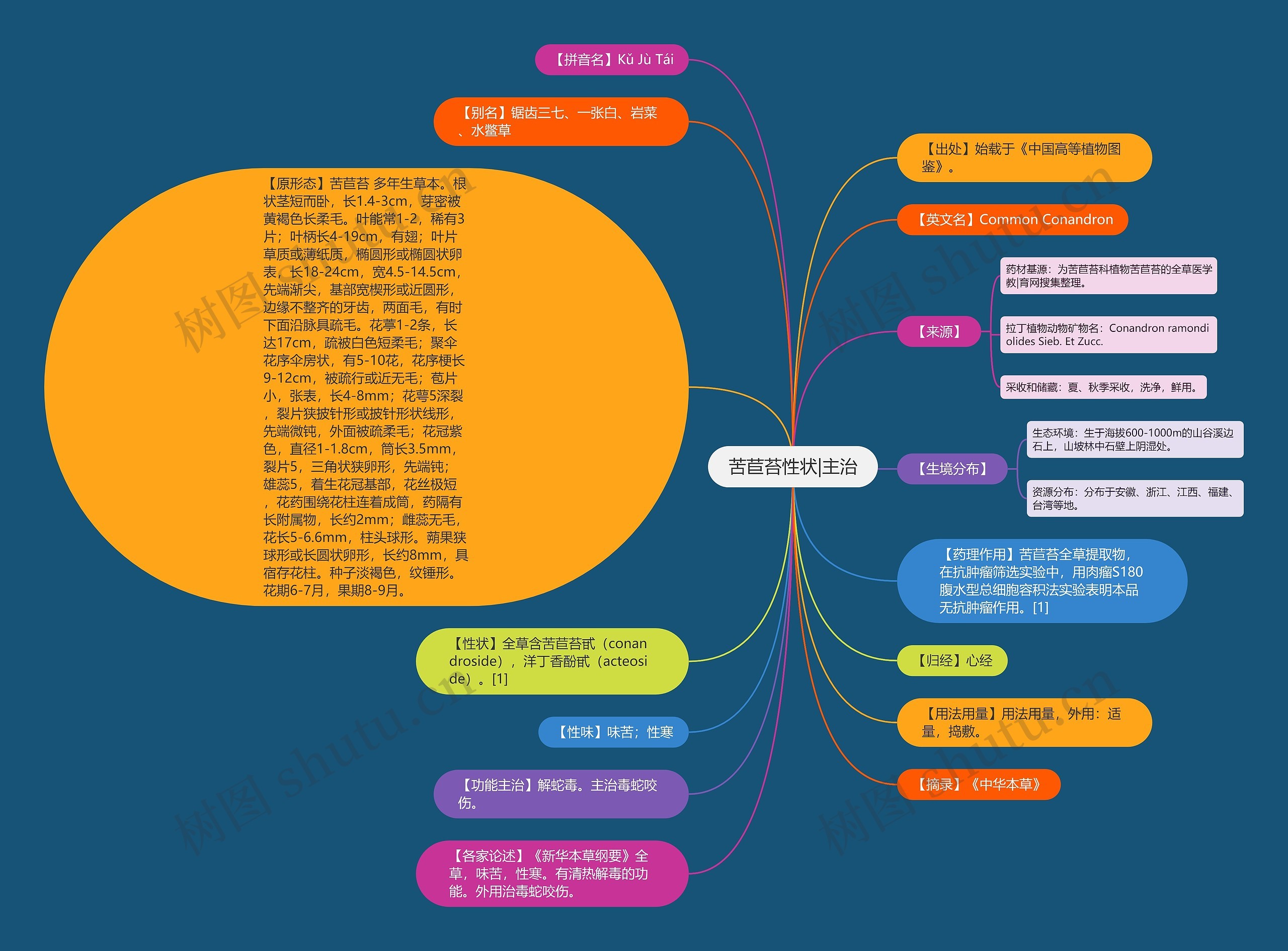 苦苣苔性状|主治 苦苣苔性状|主治