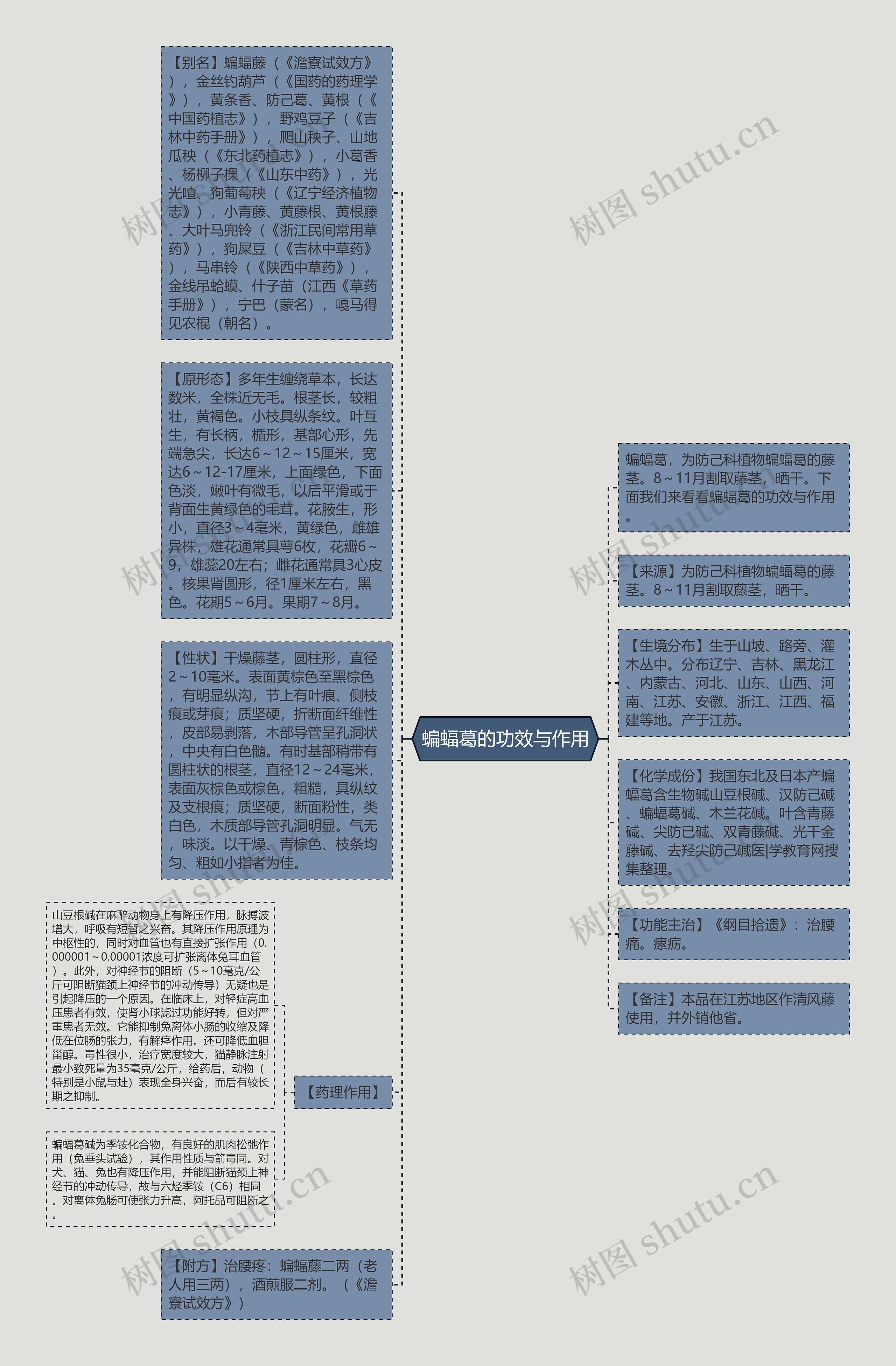 蝙蝠葛的功效与作用思维导图