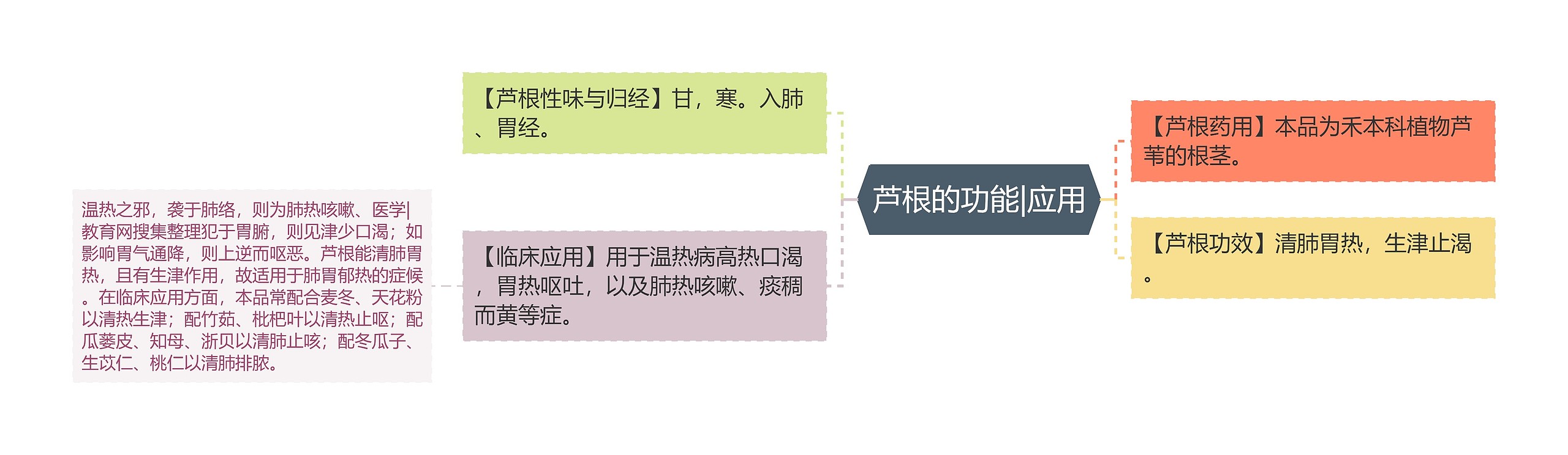 芦根的功能|应用 芦根的功能|应用