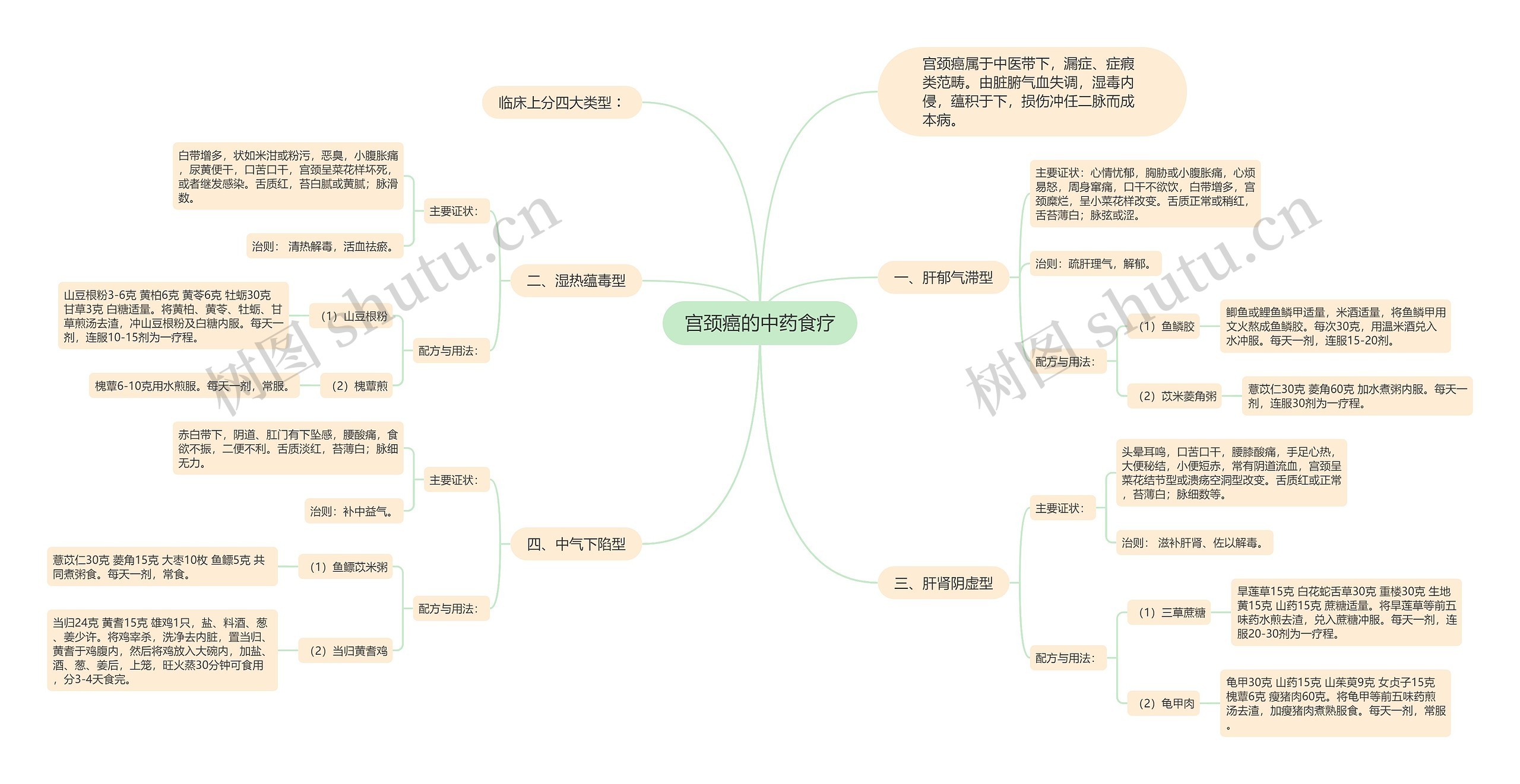 宫颈癌的中药食疗思维导图