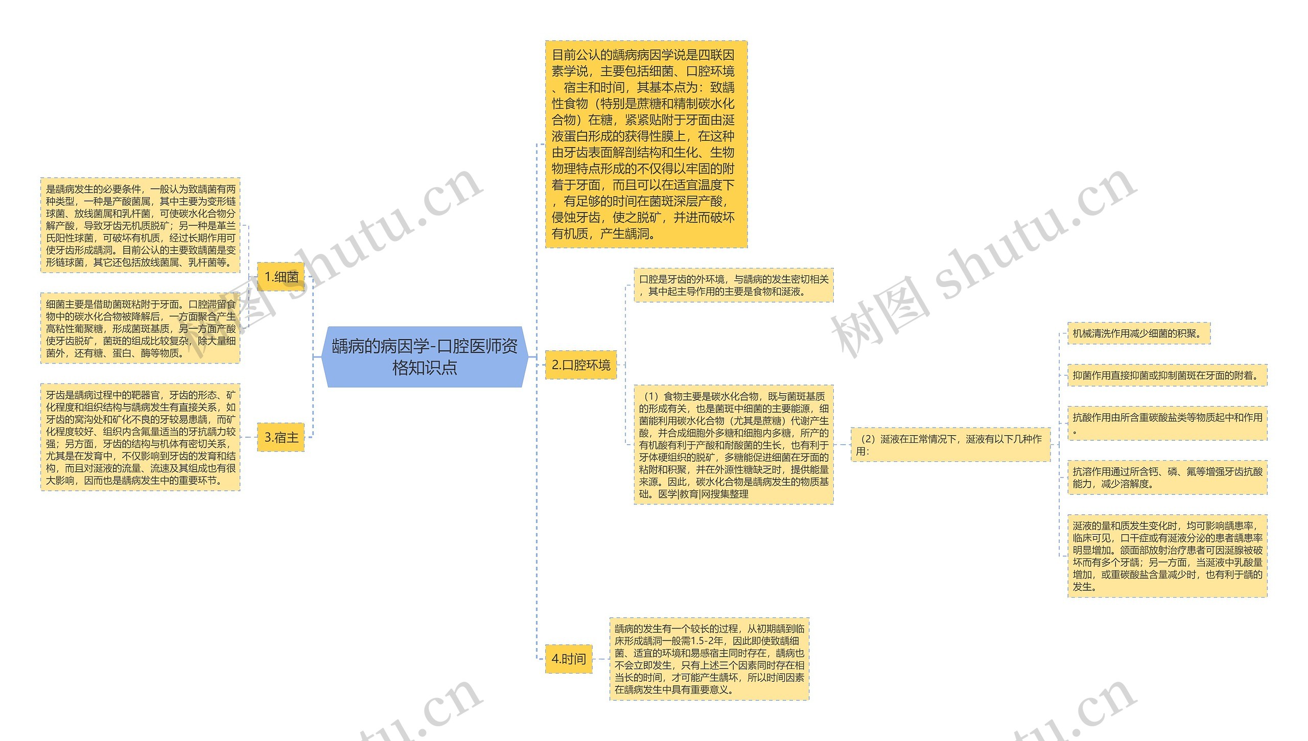 龋病的病因学-口腔医师资格知识点思维导图