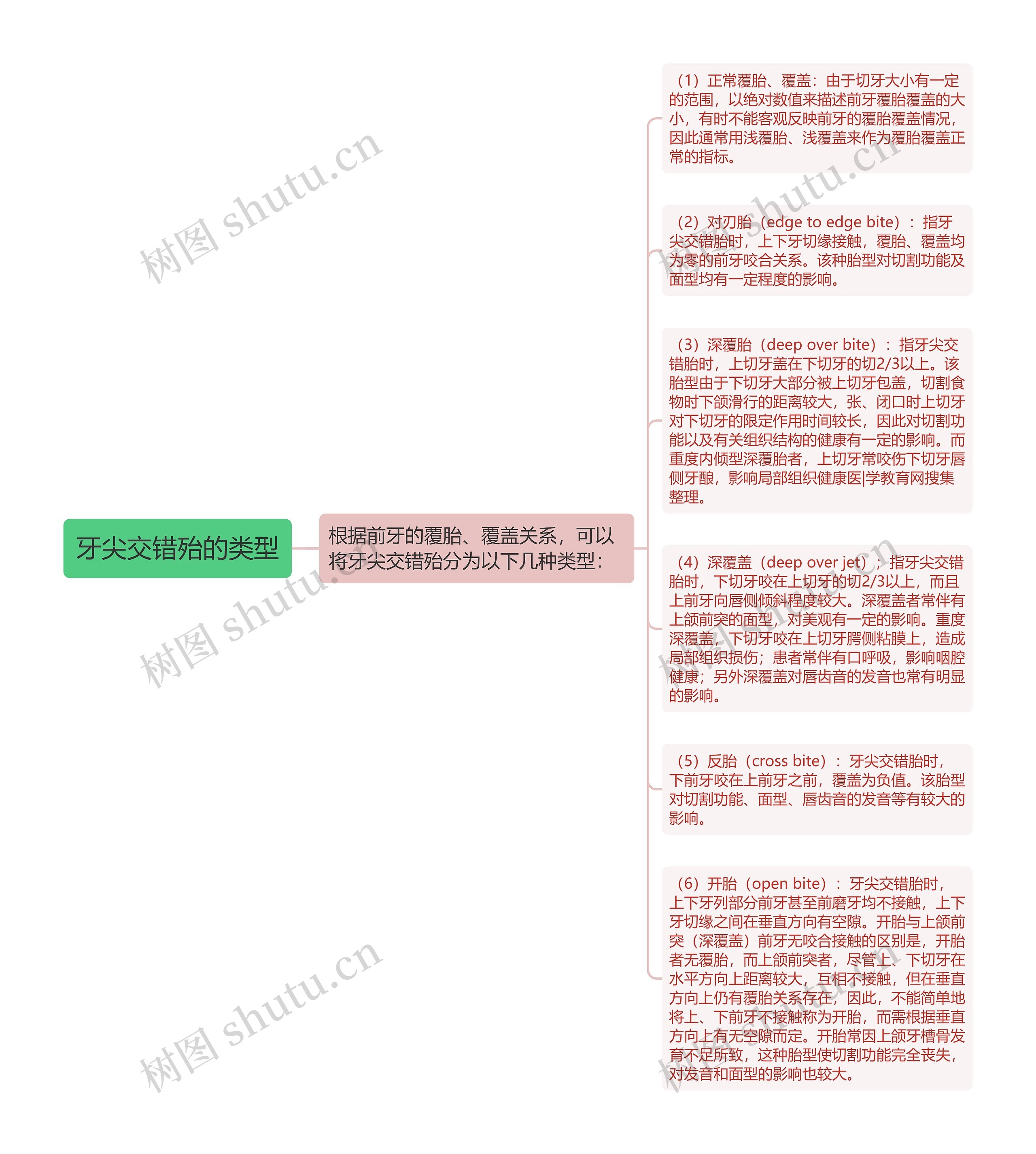 牙尖交错殆的类型