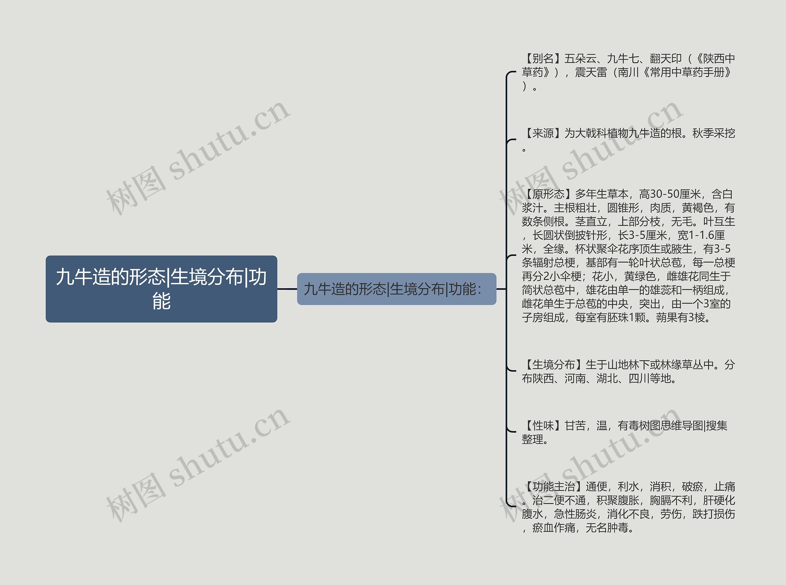 九牛造的形态|生境分布|功能思维导图