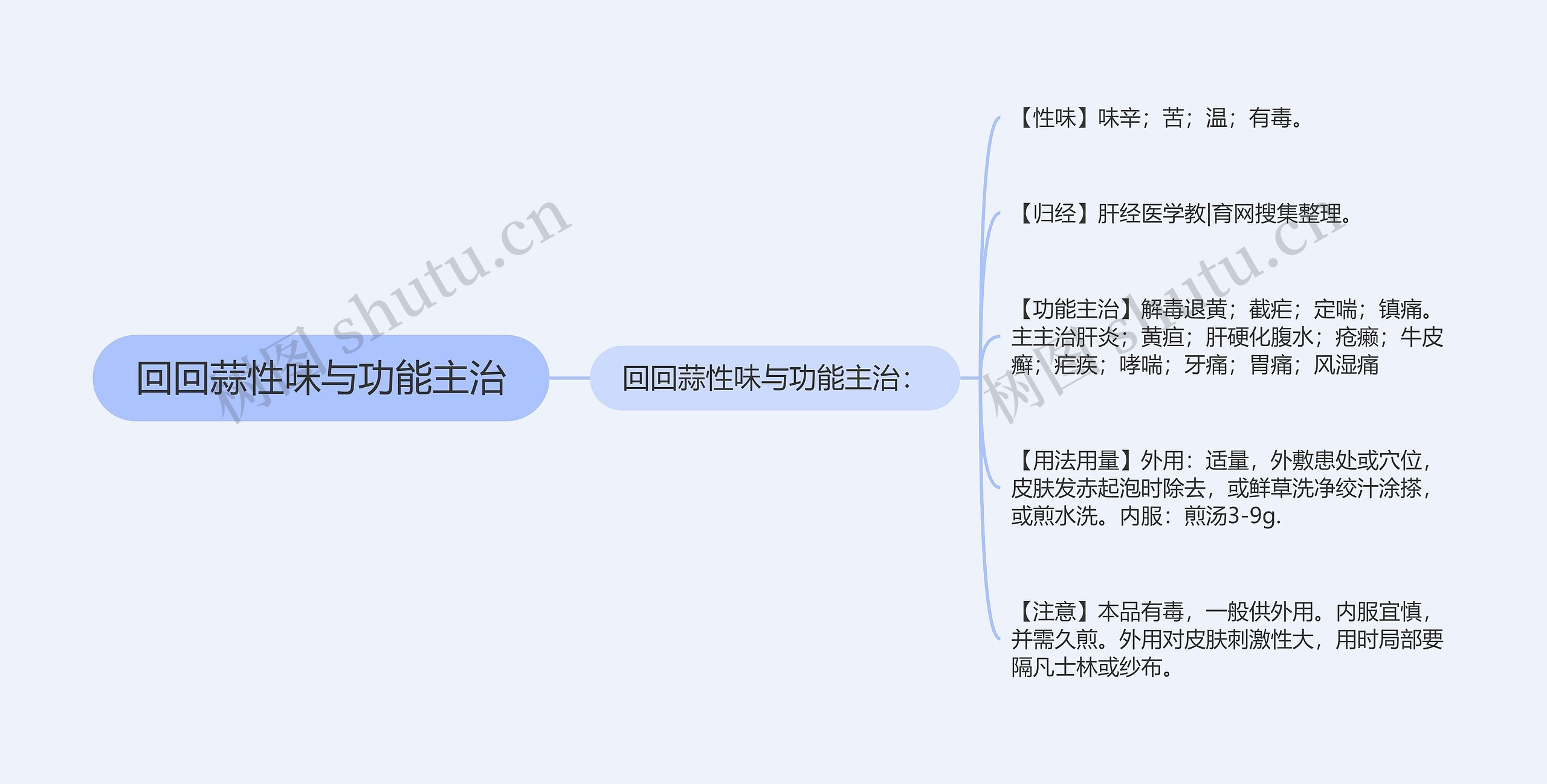 回回蒜性味与功能主治