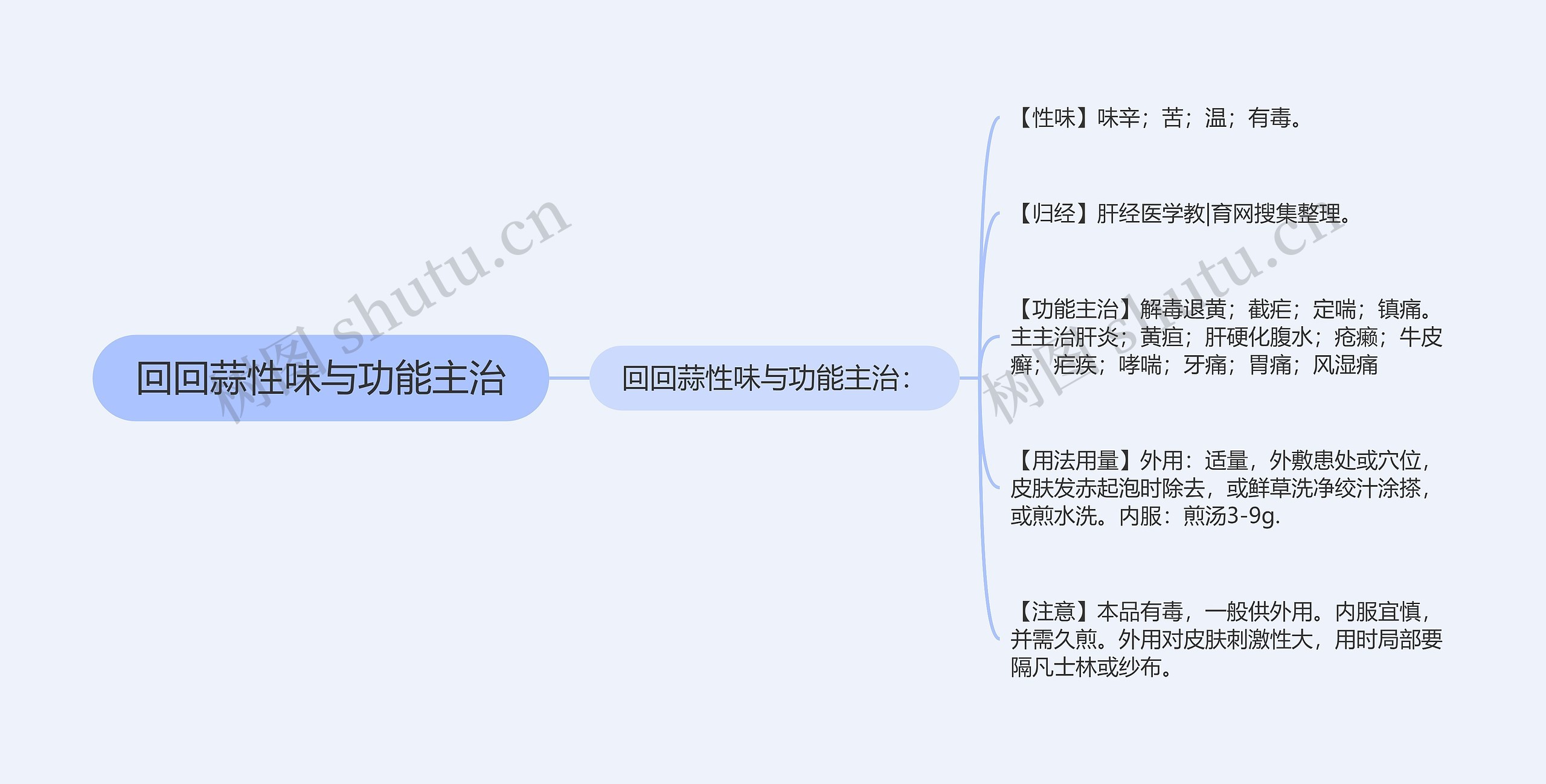 回回蒜性味与功能主治思维导图