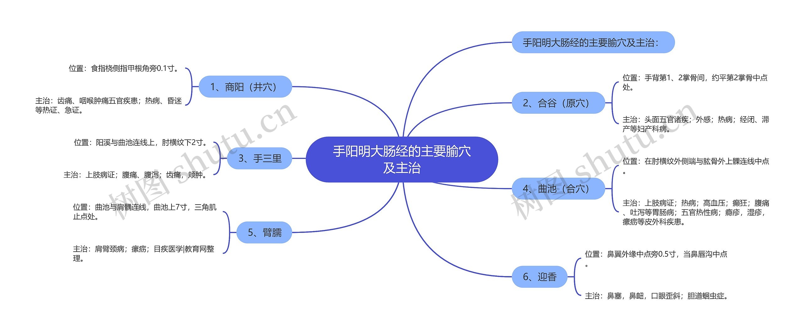 手阳明大肠经的主要腧穴及主治