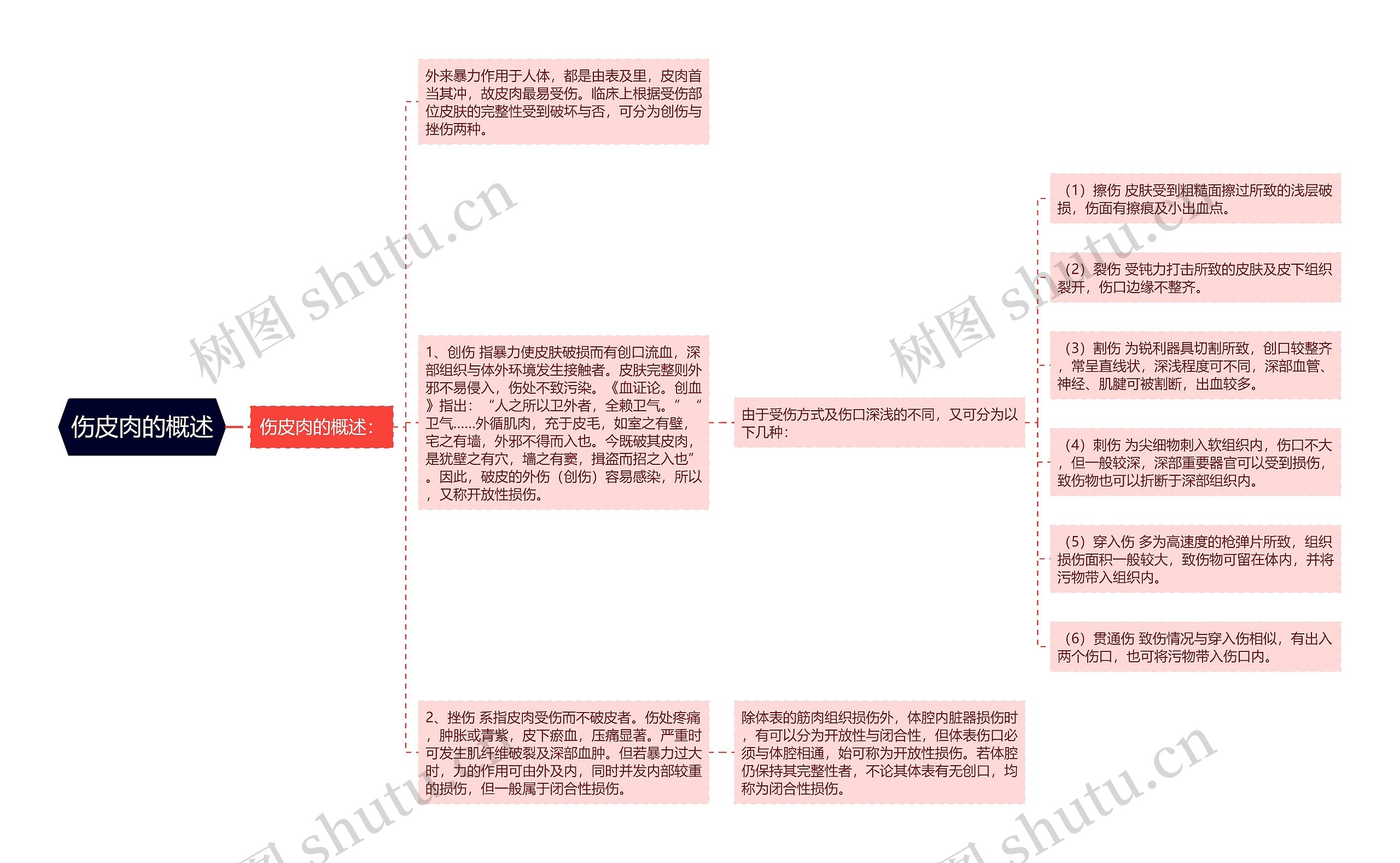 伤皮肉的概述思维导图