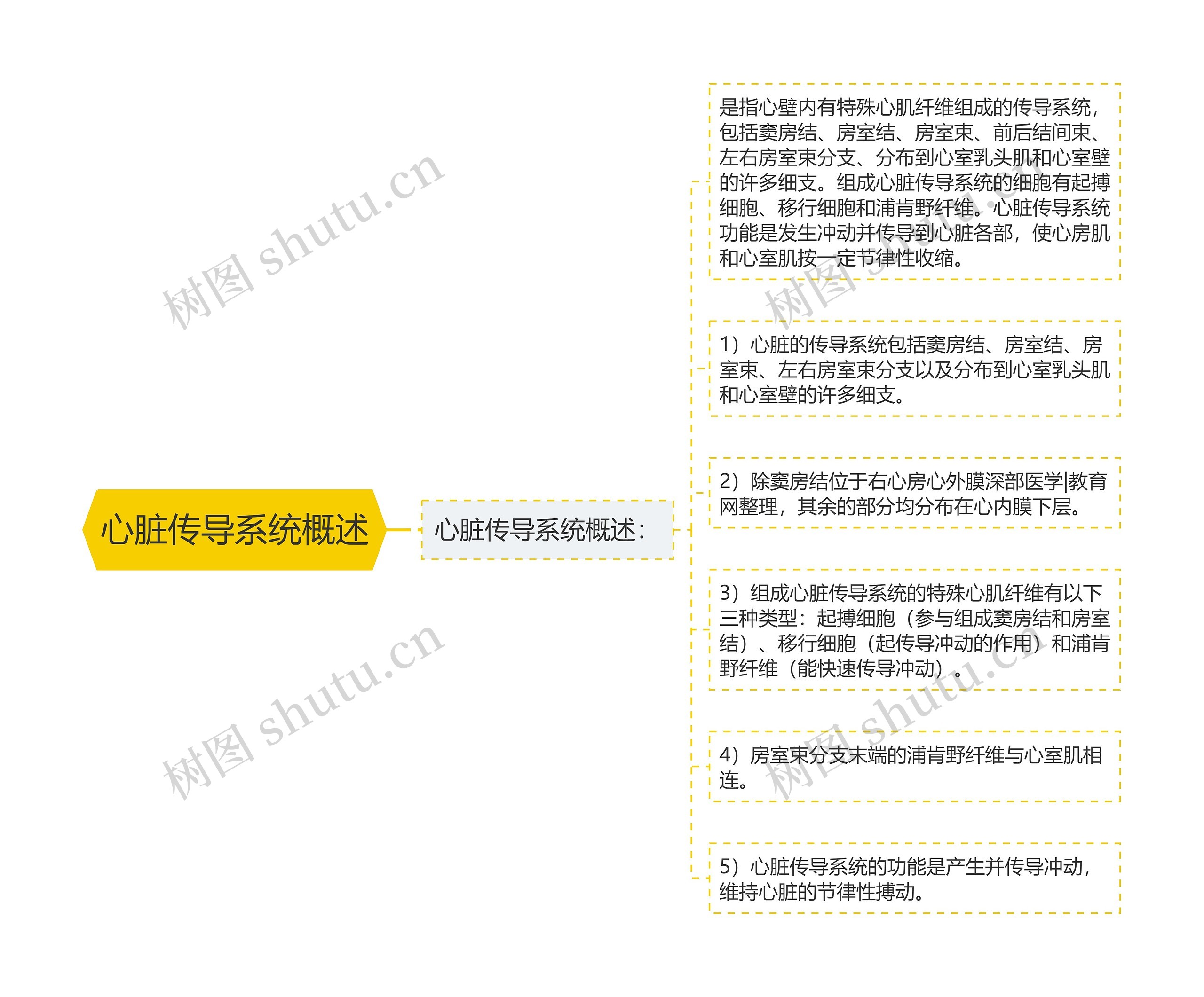 心脏传导系统概述 心脏传导系统概述