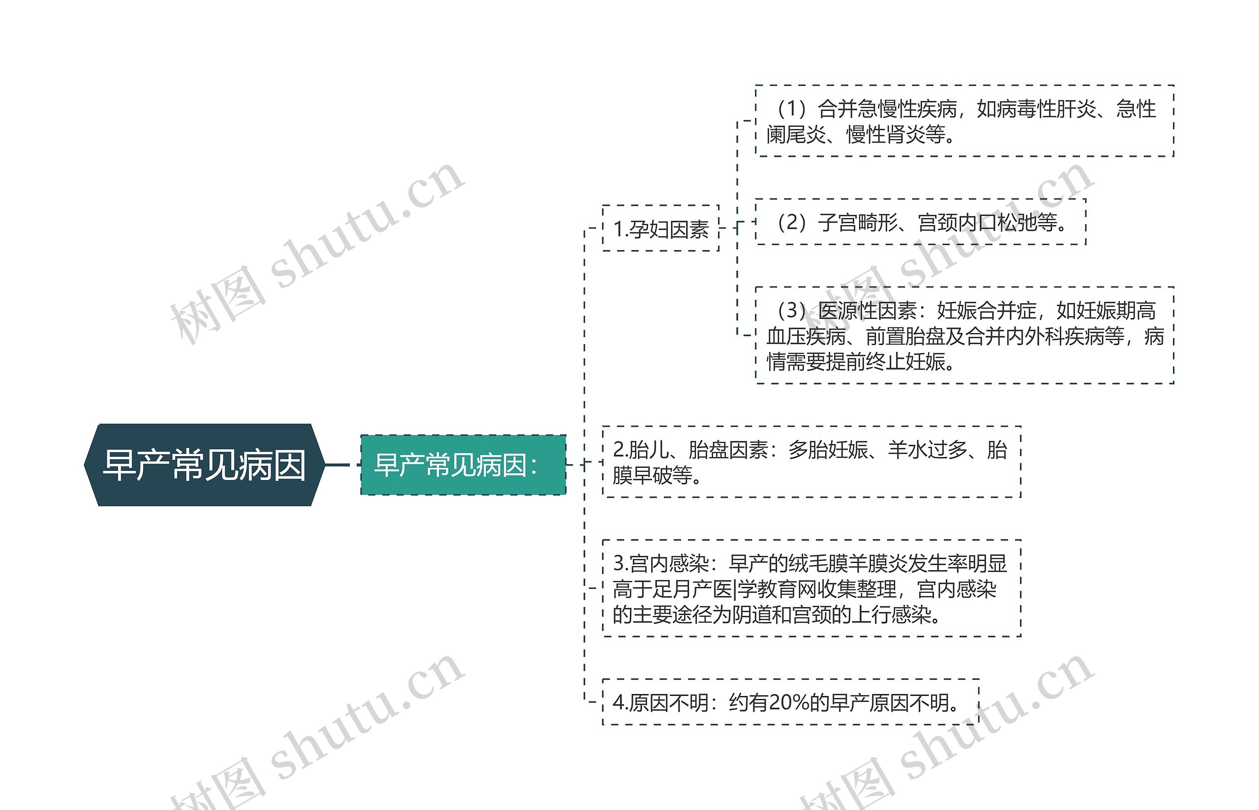 早产常见病因思维导图