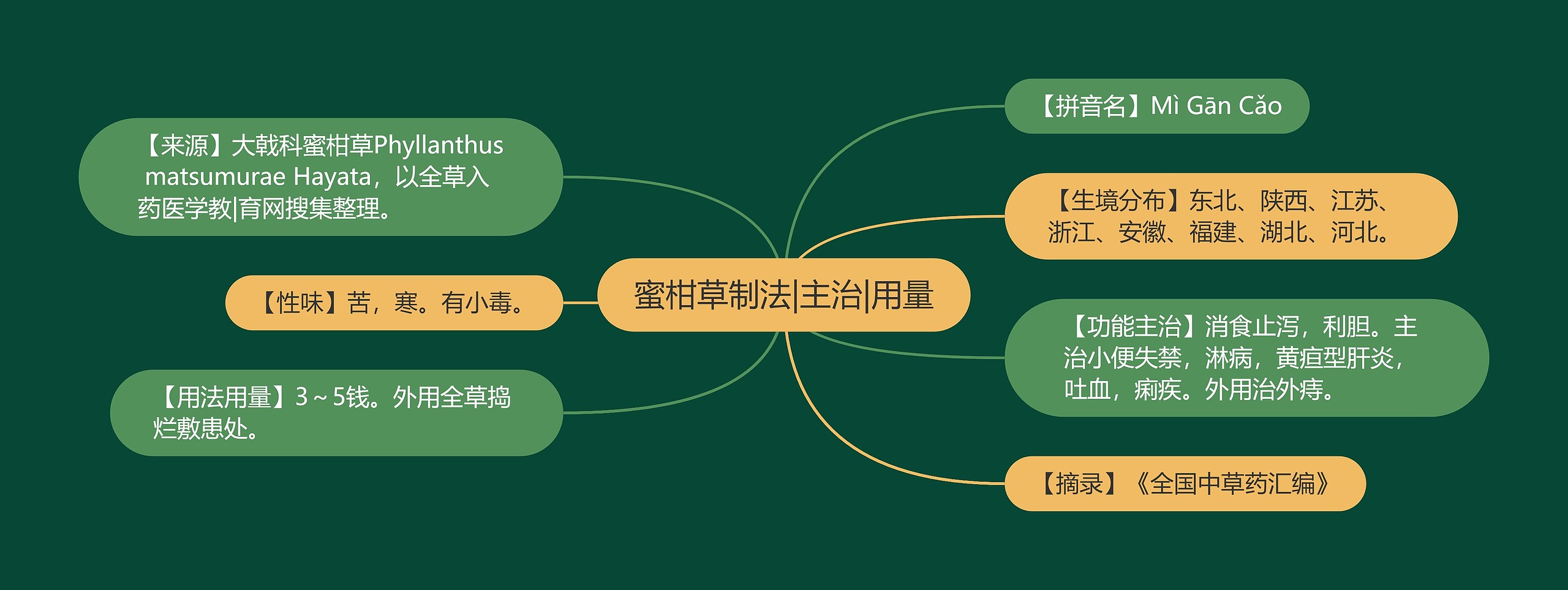 蜜柑草制法|主治|用量思维导图