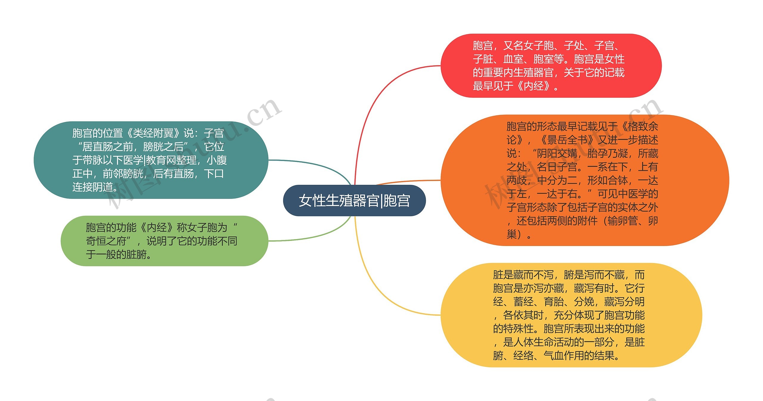 女性生殖器官|胞宫 女性生殖器官|胞宫