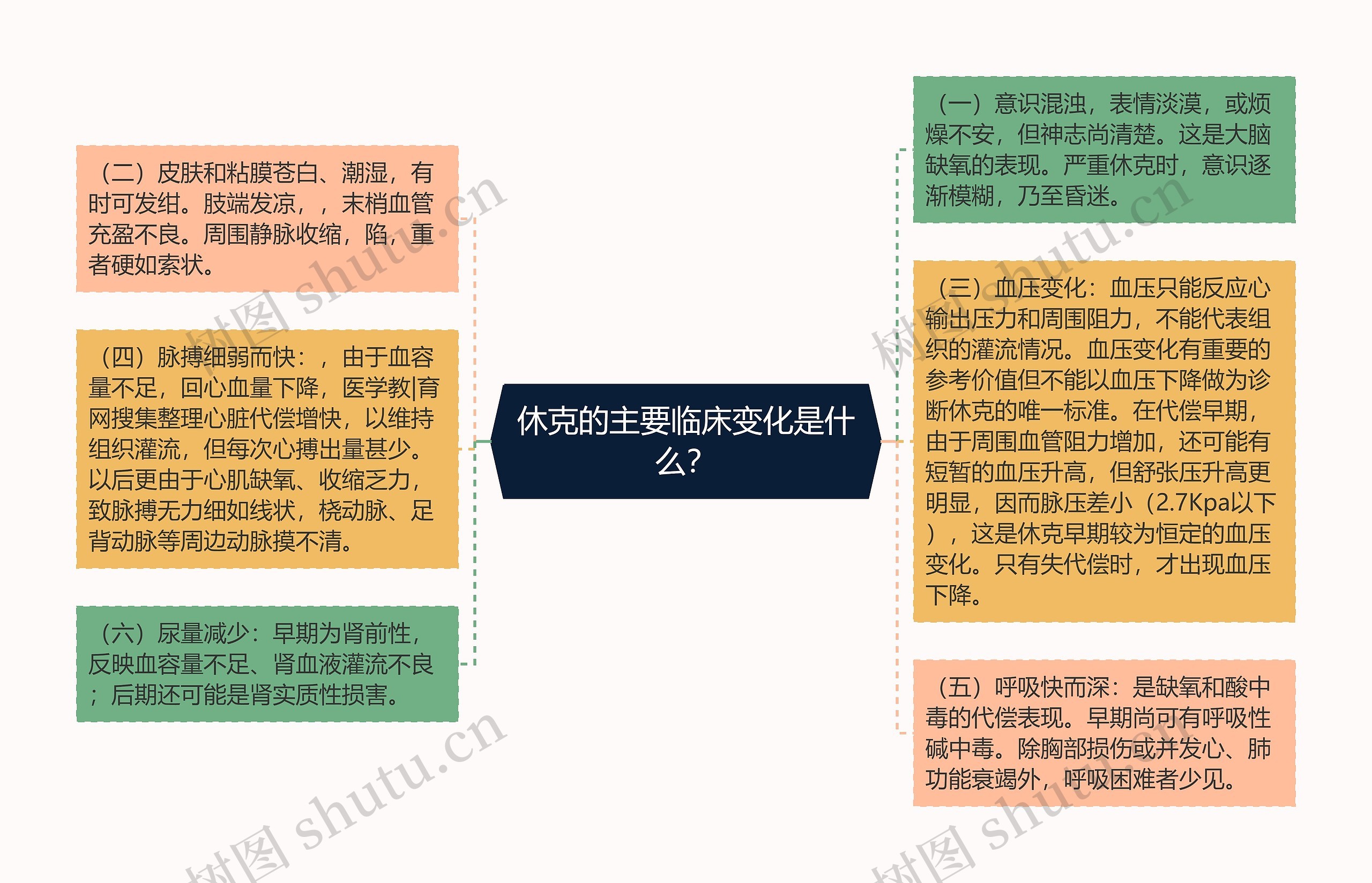 休克的主要临床变化是什么？思维导图