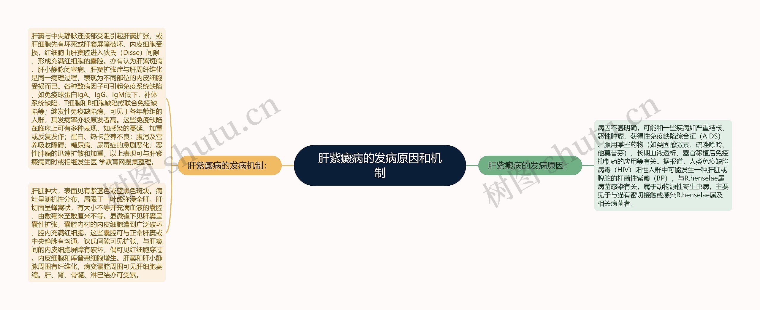 肝紫癜病的发病原因和机制思维导图