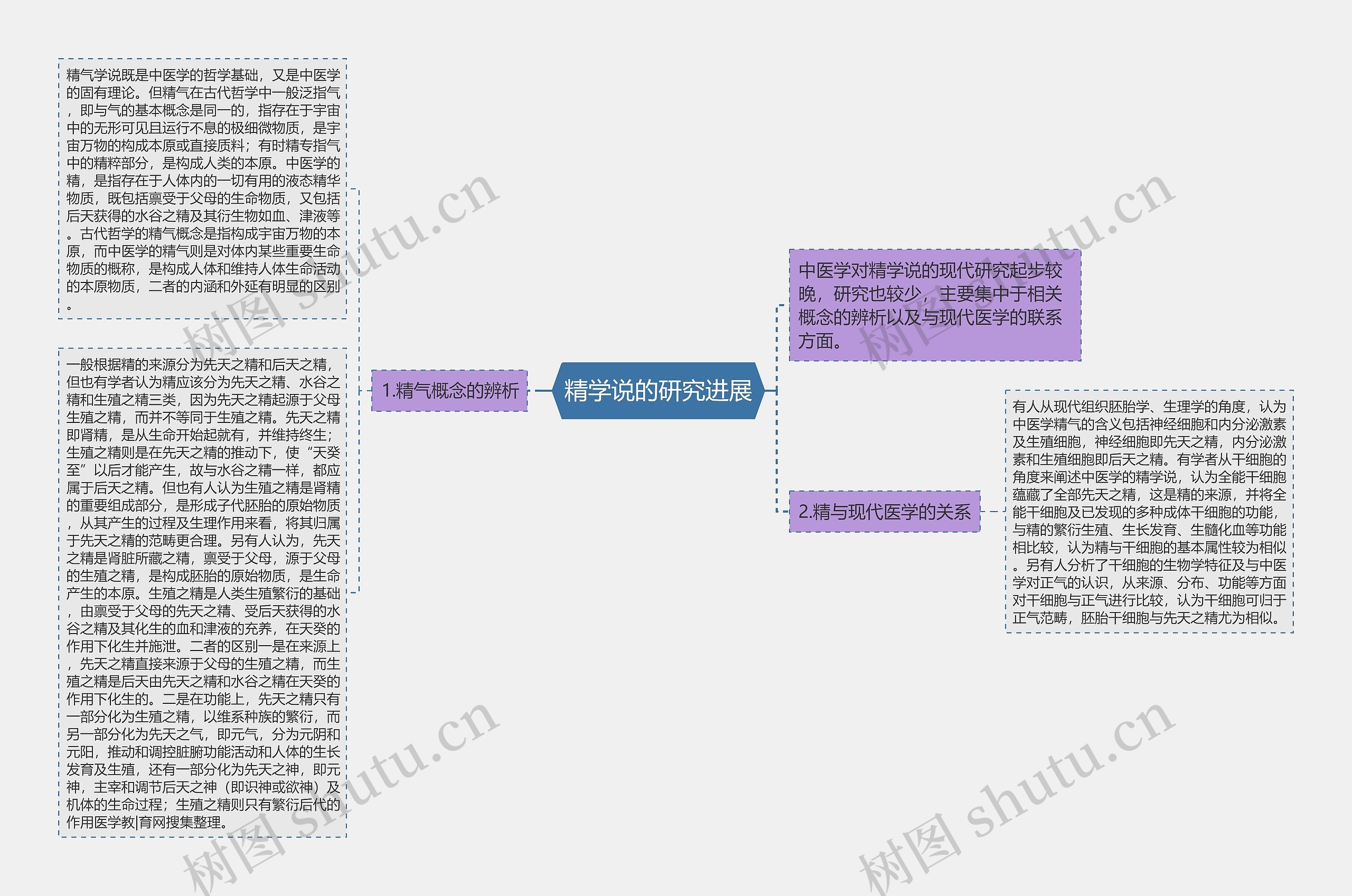 精学说的研究进展思维导图