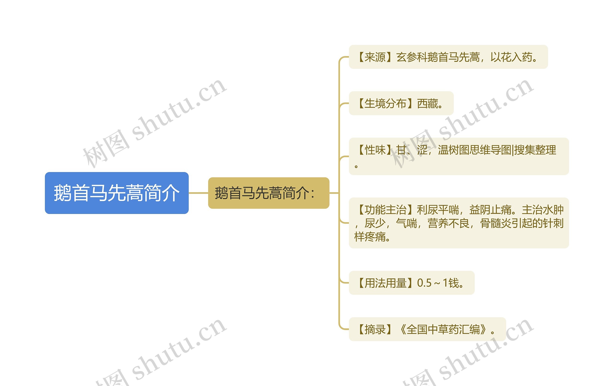 鹅首马先蒿简介