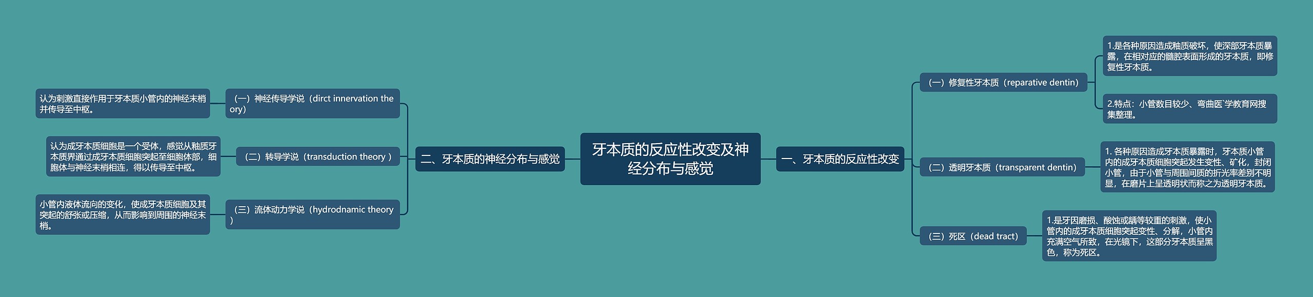 牙本质的反应性改变及神经分布与感觉