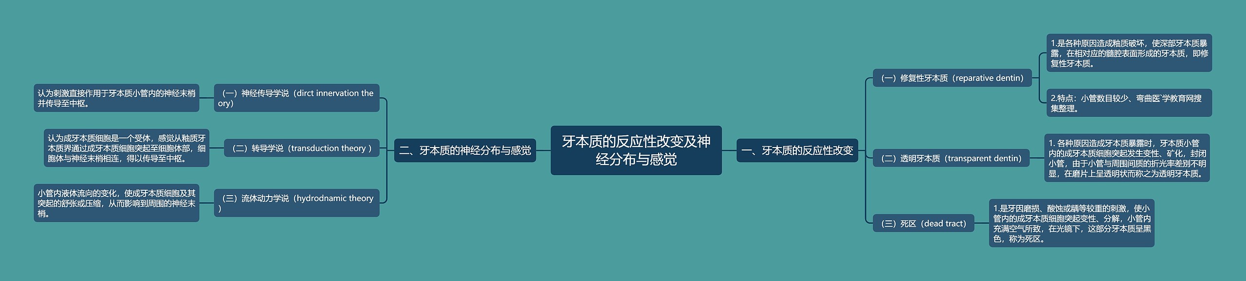 牙本质的反应性改变及神经分布与感觉 牙本质的反应性改变及神经分布与感觉