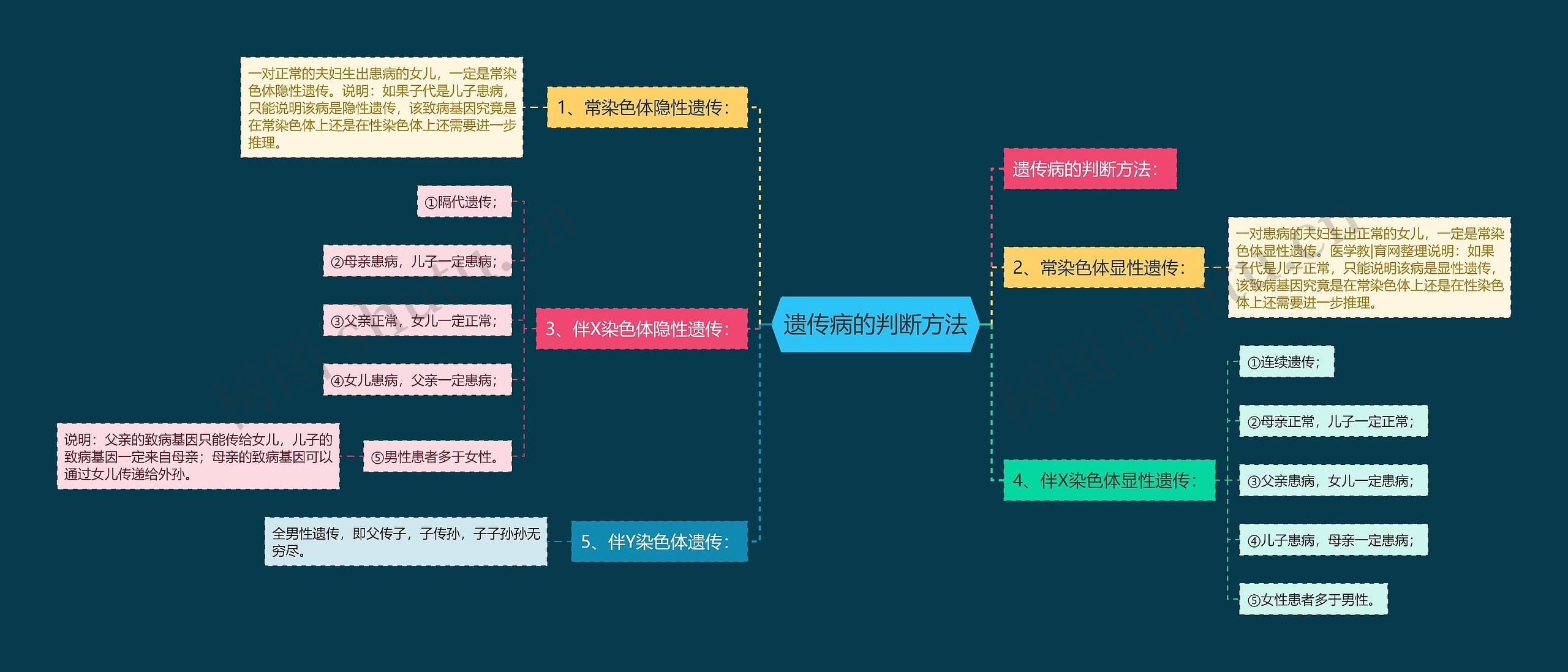 遗传病的判断方法思维导图