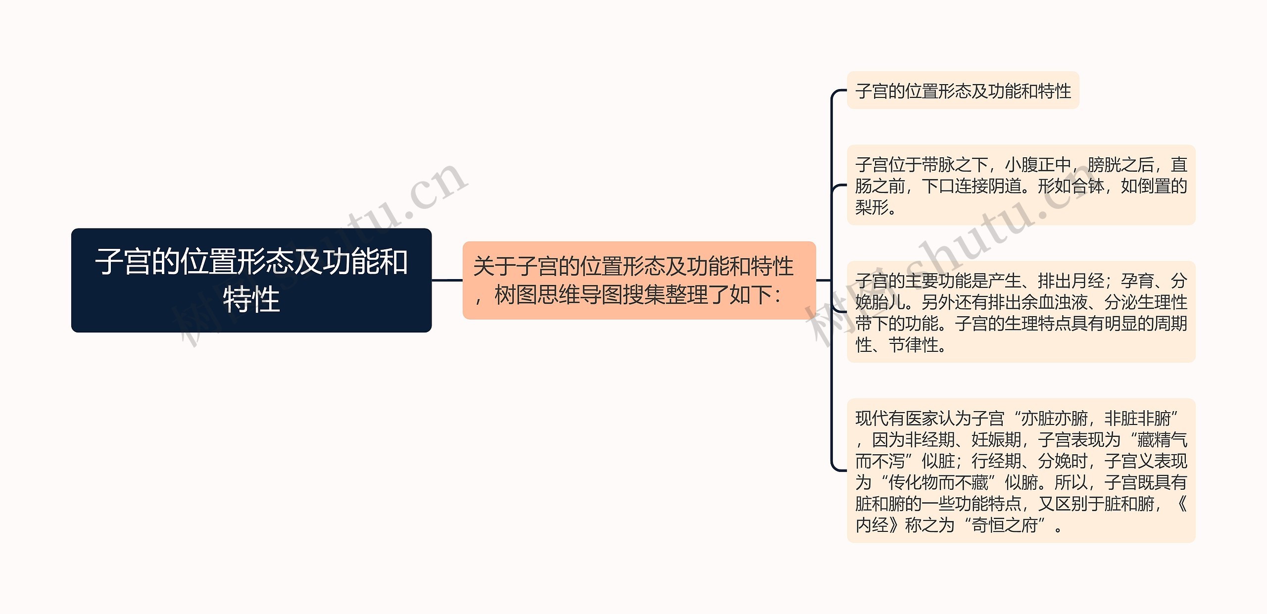 子宫的位置形态及功能和特性思维导图