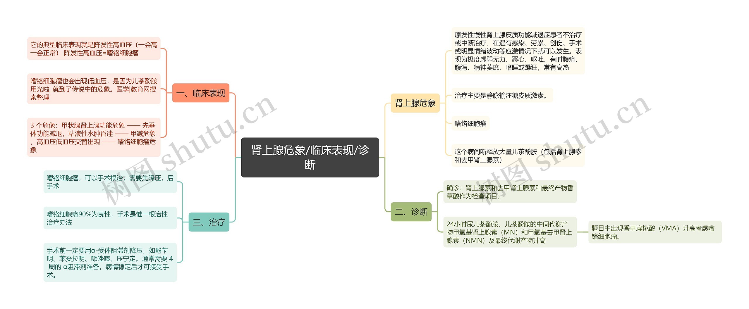 肾上腺危象/临床表现/诊断思维导图