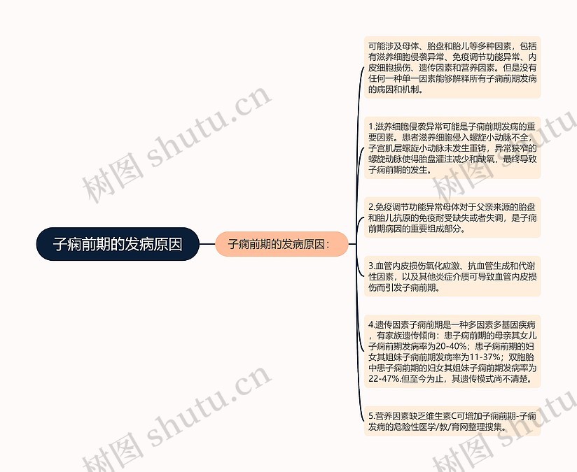 子痫前期的发病原因思维导图_编号p6746800-TreeMind树图