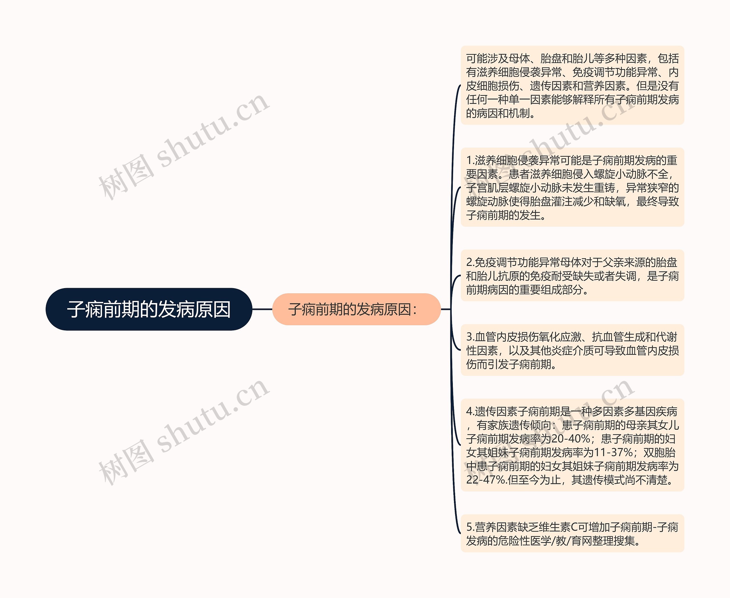 子痫前期的发病原因思维导图