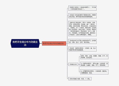 枇杷芋生境分布与功能主治