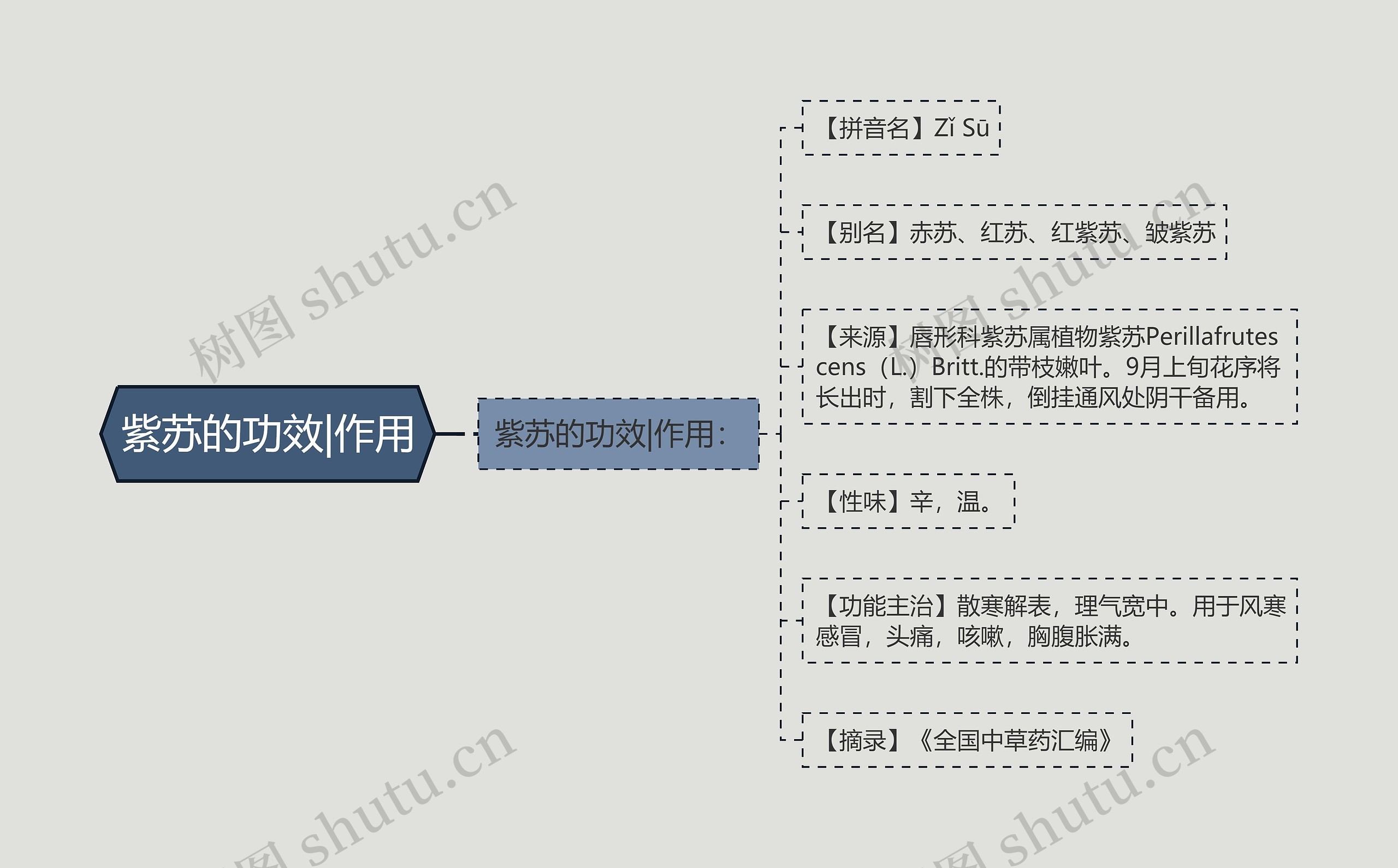 紫苏的功效|作用思维导图