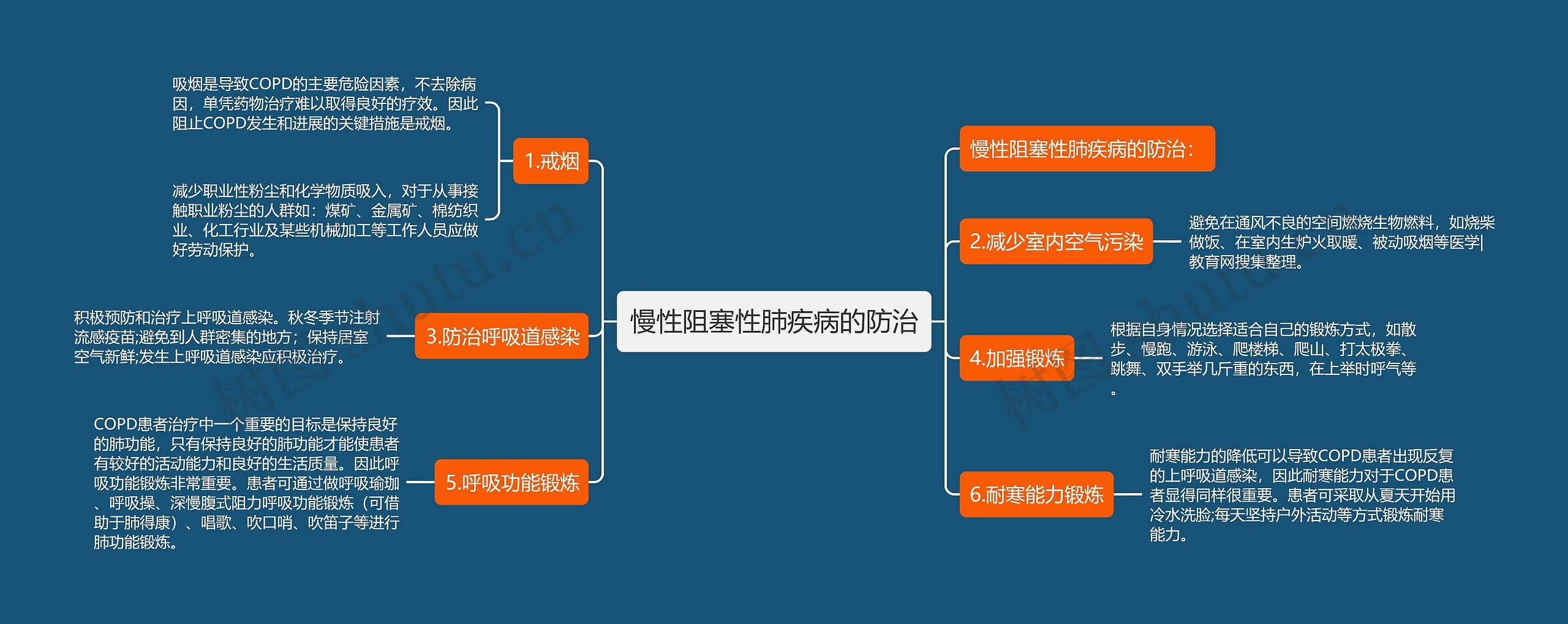 慢性阻塞性肺疾病的防治