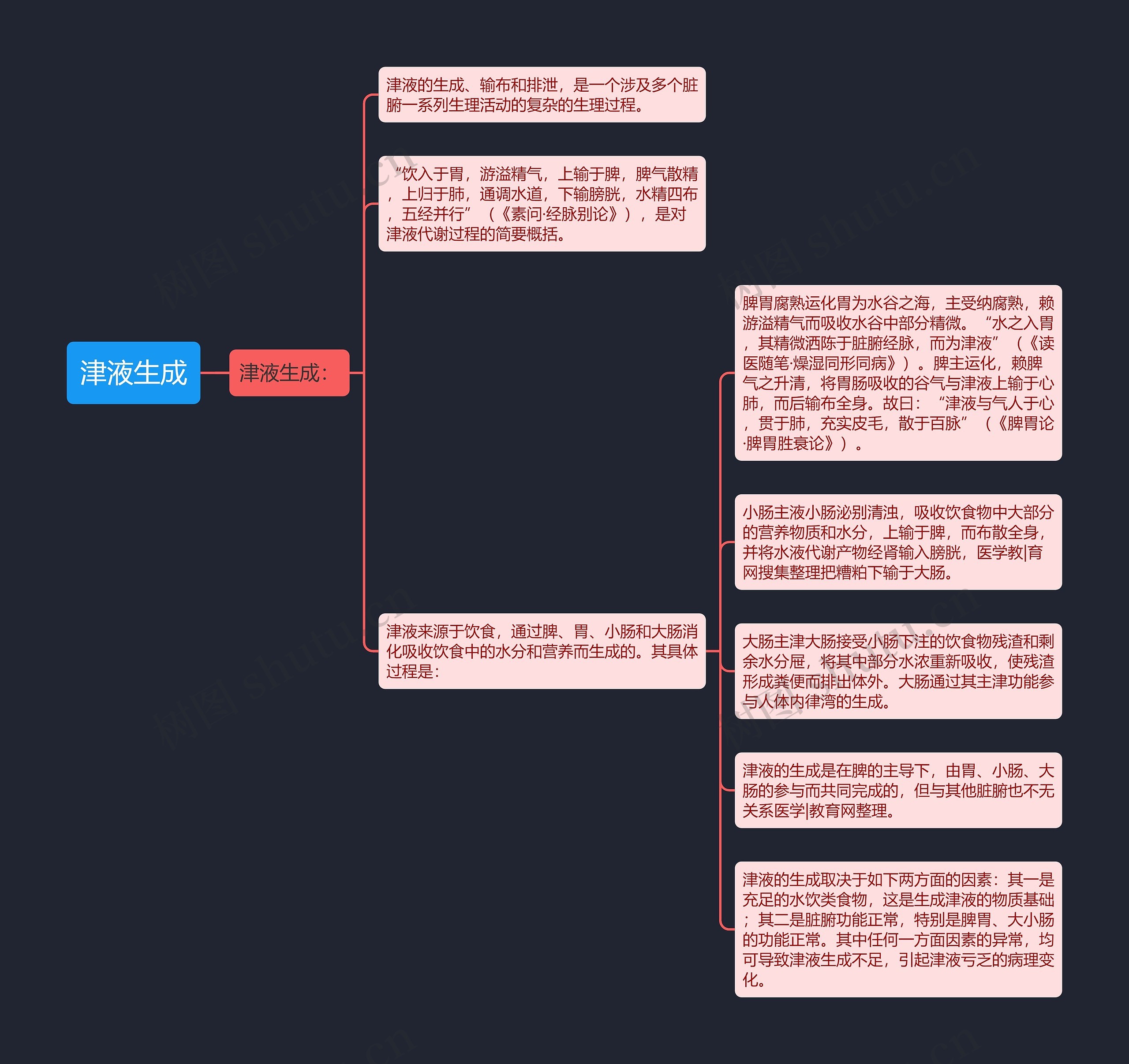 津液生成思维导图