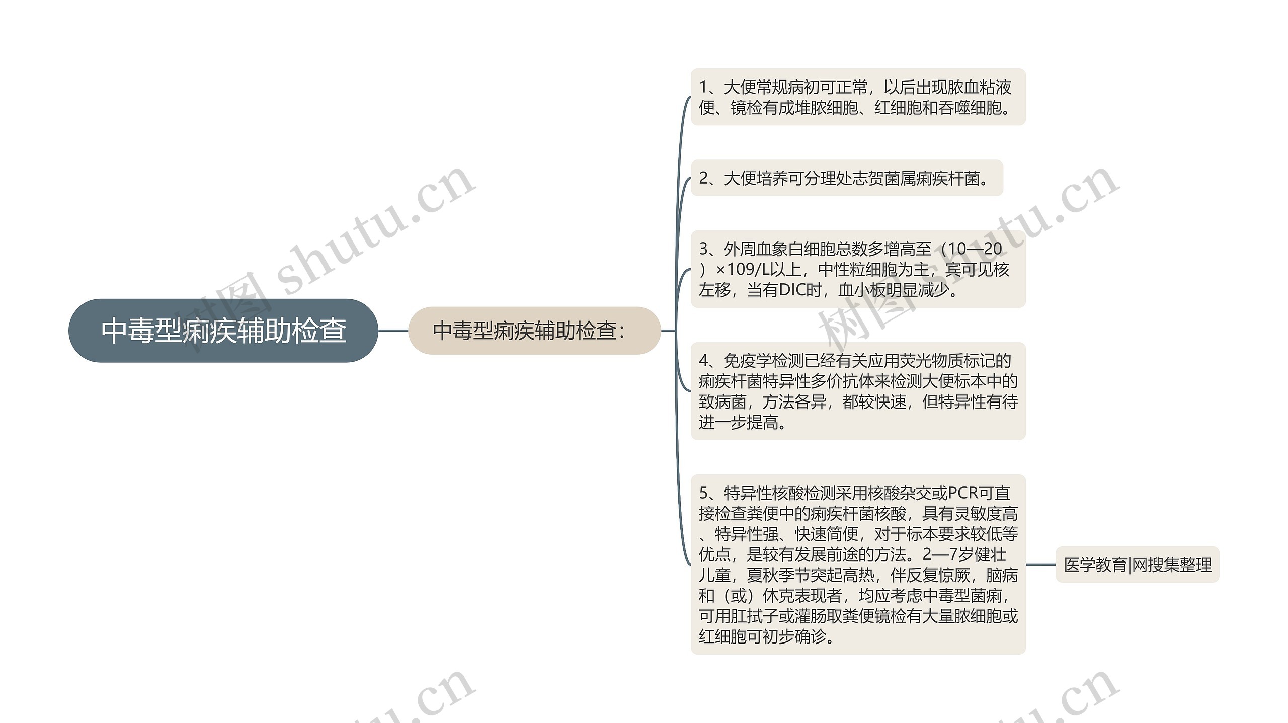 中毒型痢疾辅助检查思维导图