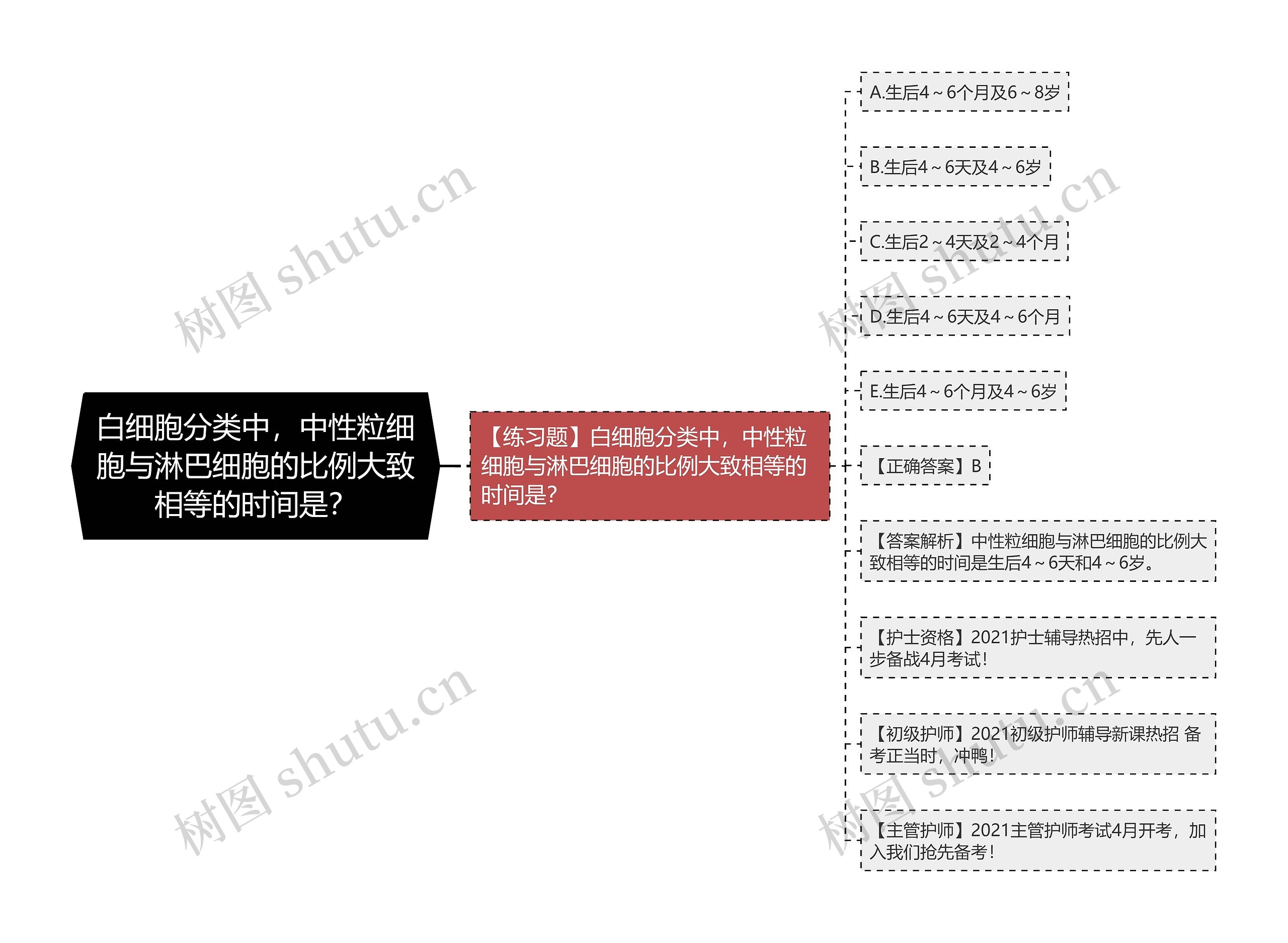 白细胞分类中，中性粒细胞与淋巴细胞的比例大致相等的时间是？思维导图