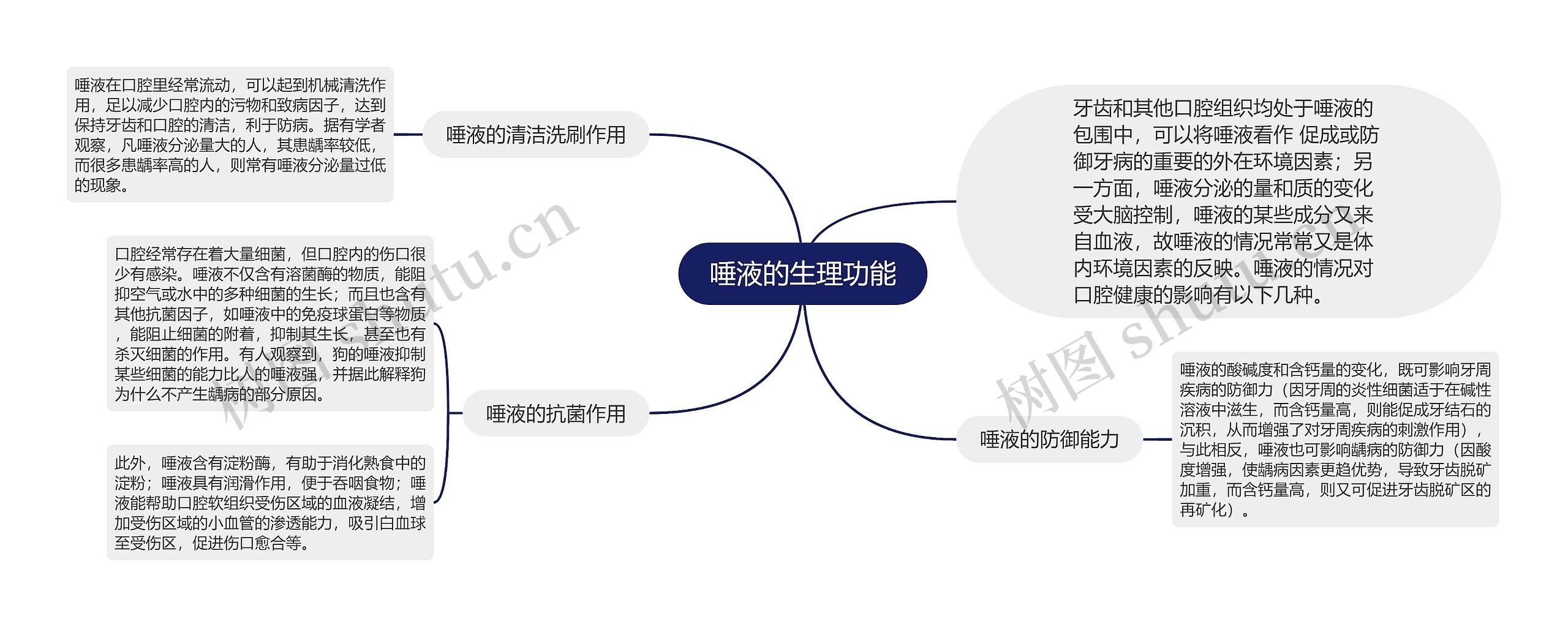 唾液的生理功能思维导图