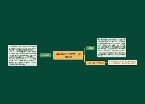 血红蛋白电泳及HbA2定量测定