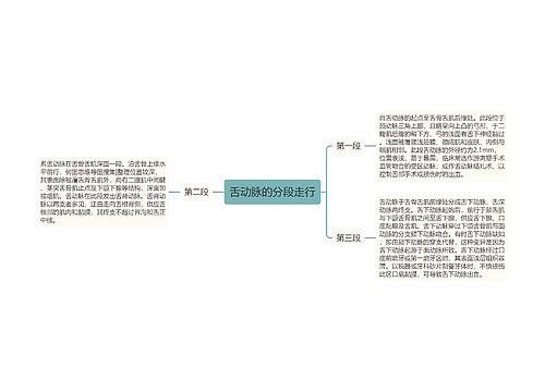 舌动脉的分段走行