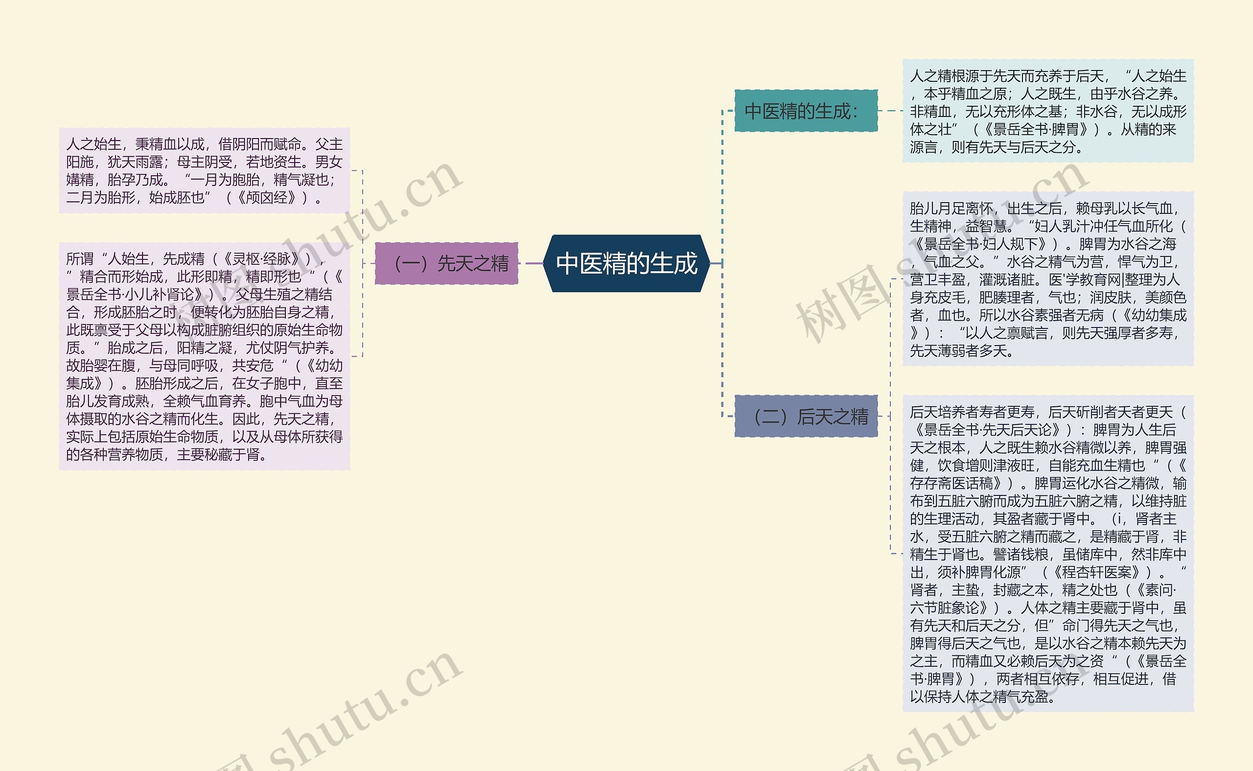 中医精的生成