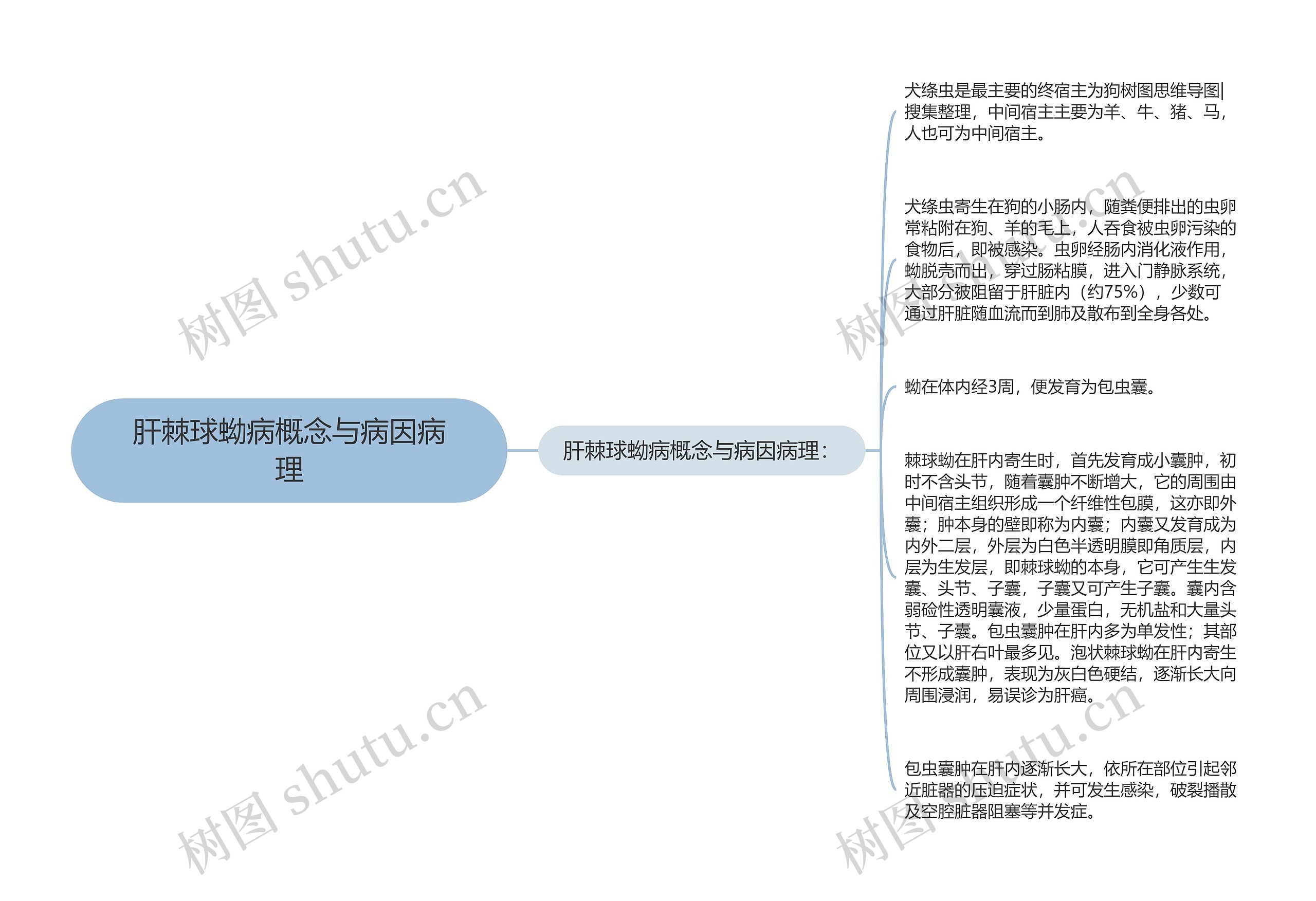 肝棘球蚴病概念与病因病理