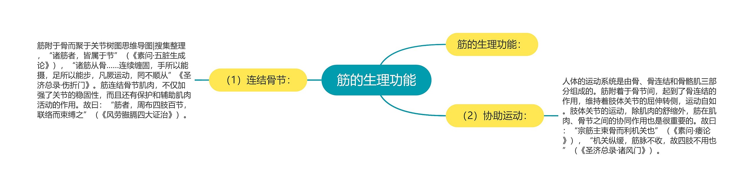 筋的生理功能思维导图