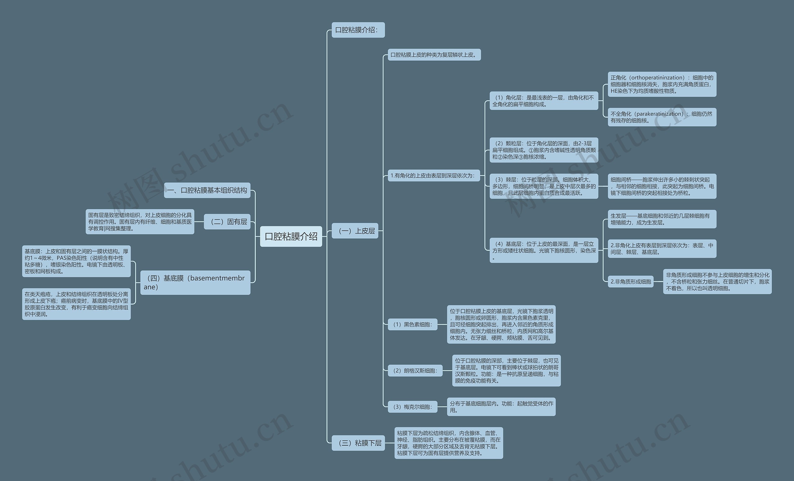 口腔粘膜介绍 口腔粘膜介绍