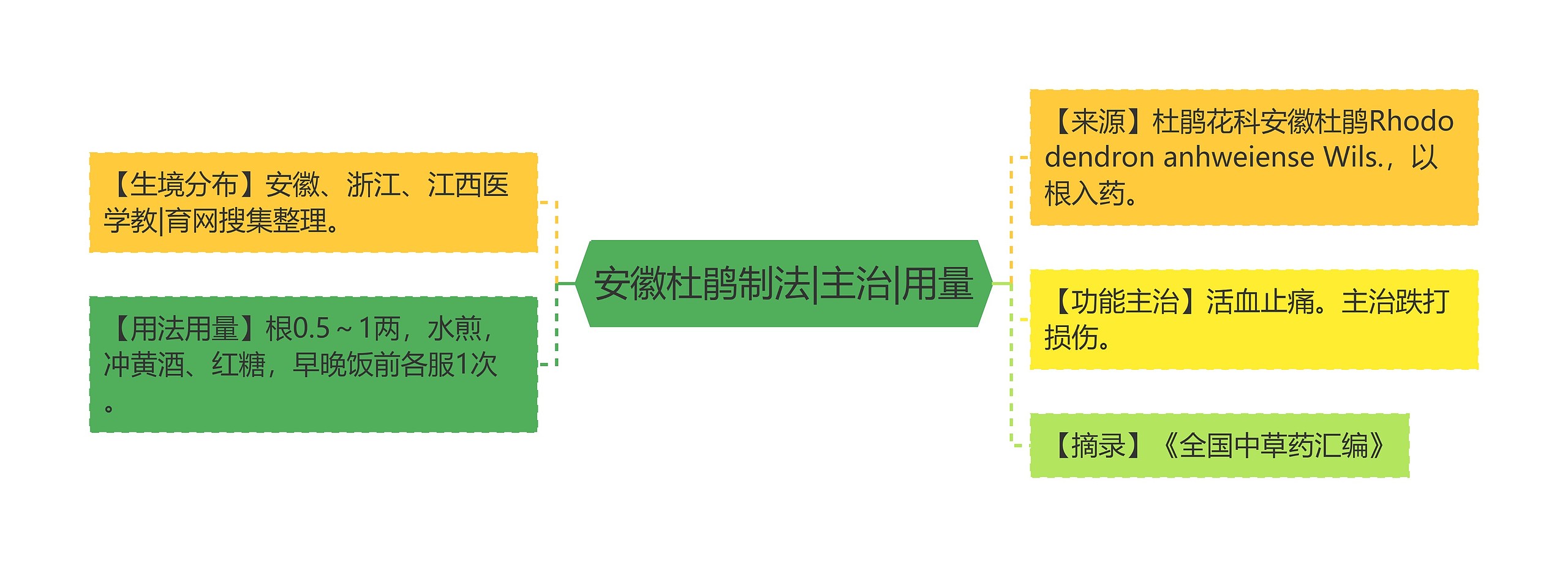 安徽杜鹃制法|主治|用量