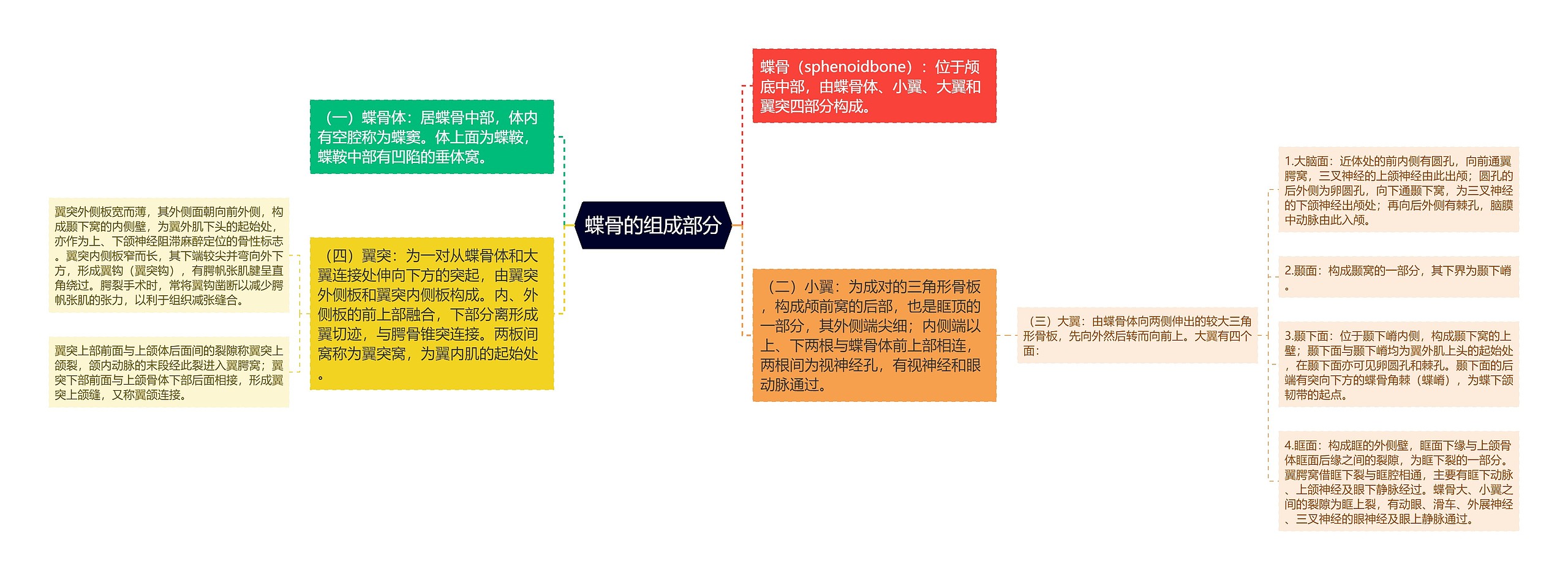 蝶骨的组成部分