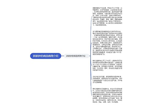 肺脓肿的病因病理介绍