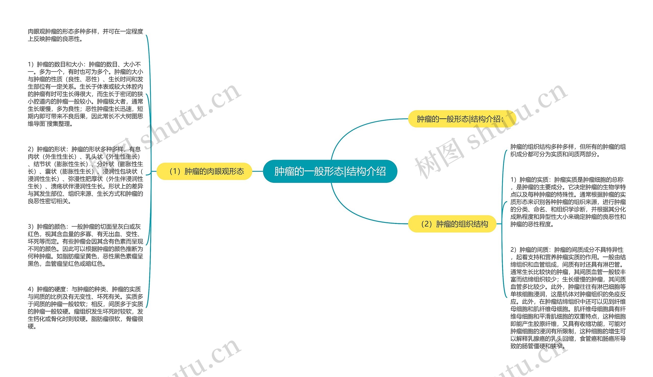 肿瘤的一般形态|结构介绍思维导图